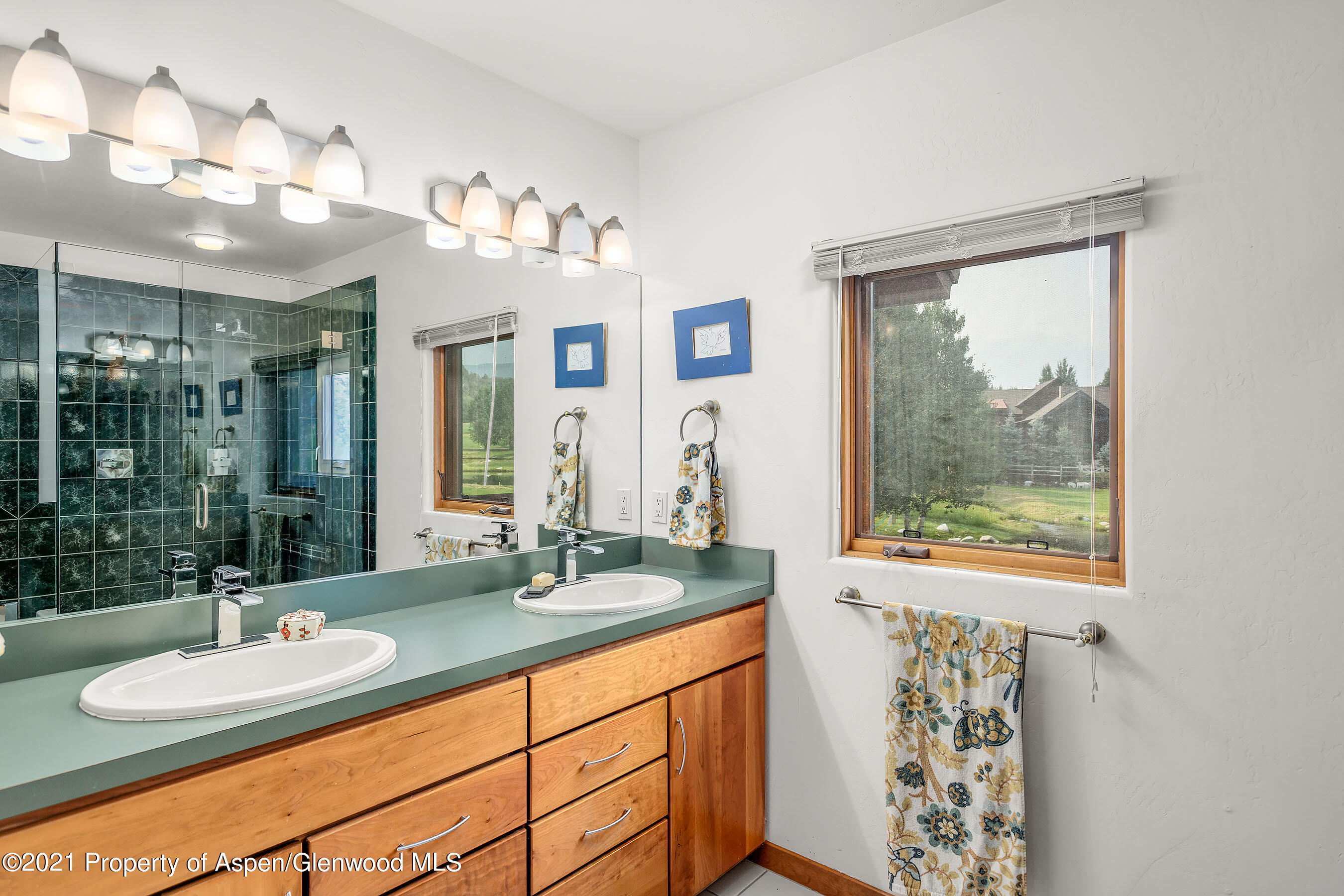 1169 Heritage Drive Carbondale CO 81623