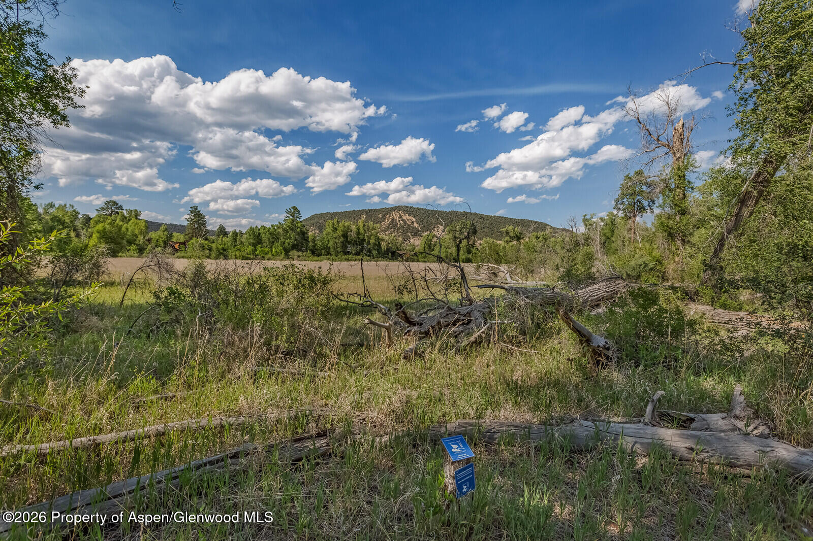 11 Pinon Lane Carbondale CO 81623