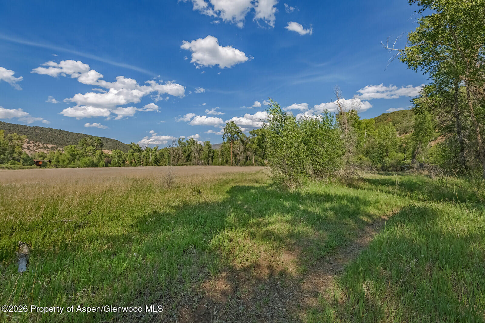 11 Pinon Lane Carbondale CO 81623