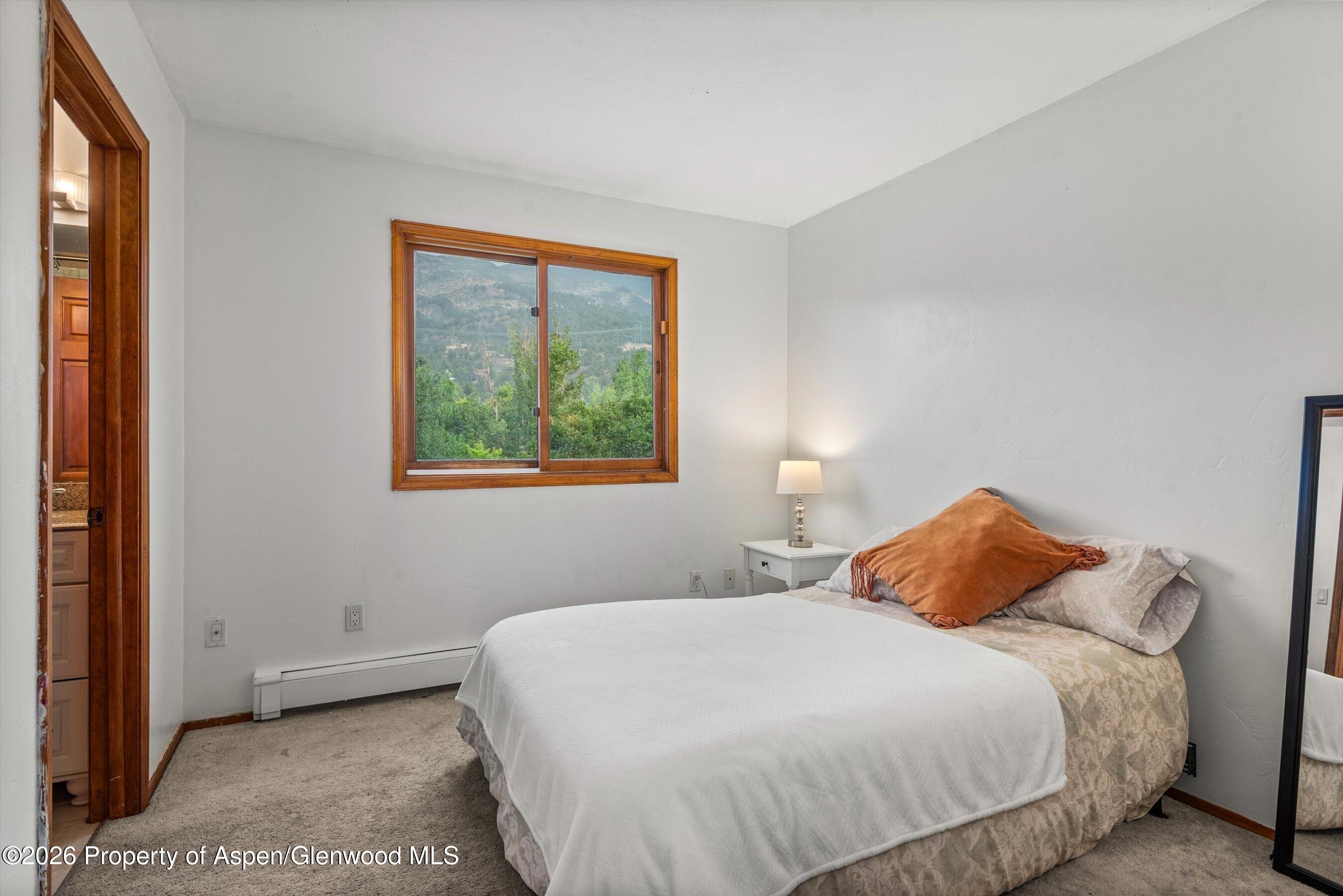 33 Mountain Court Basalt CO 81621
