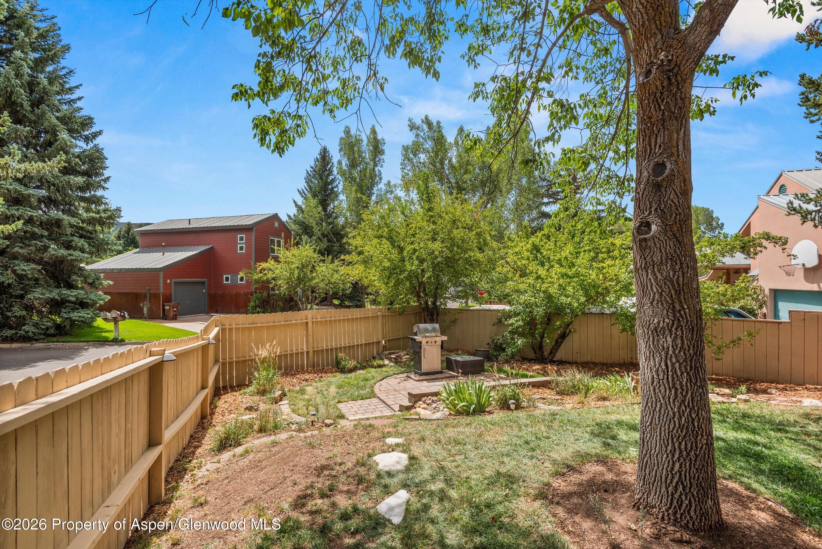 33 Mountain Court Basalt CO 81621