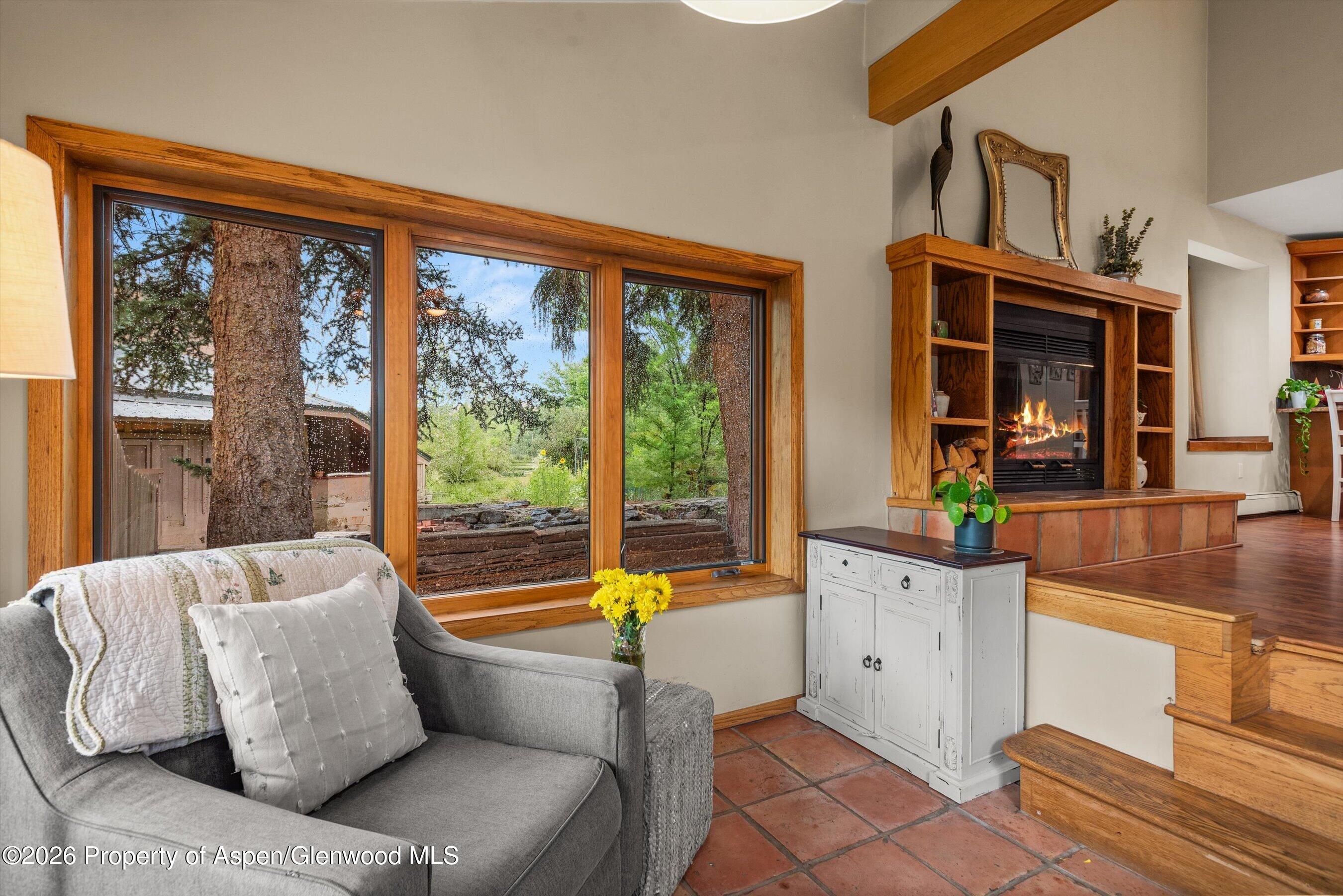 33 Mountain Court Basalt CO 81621
