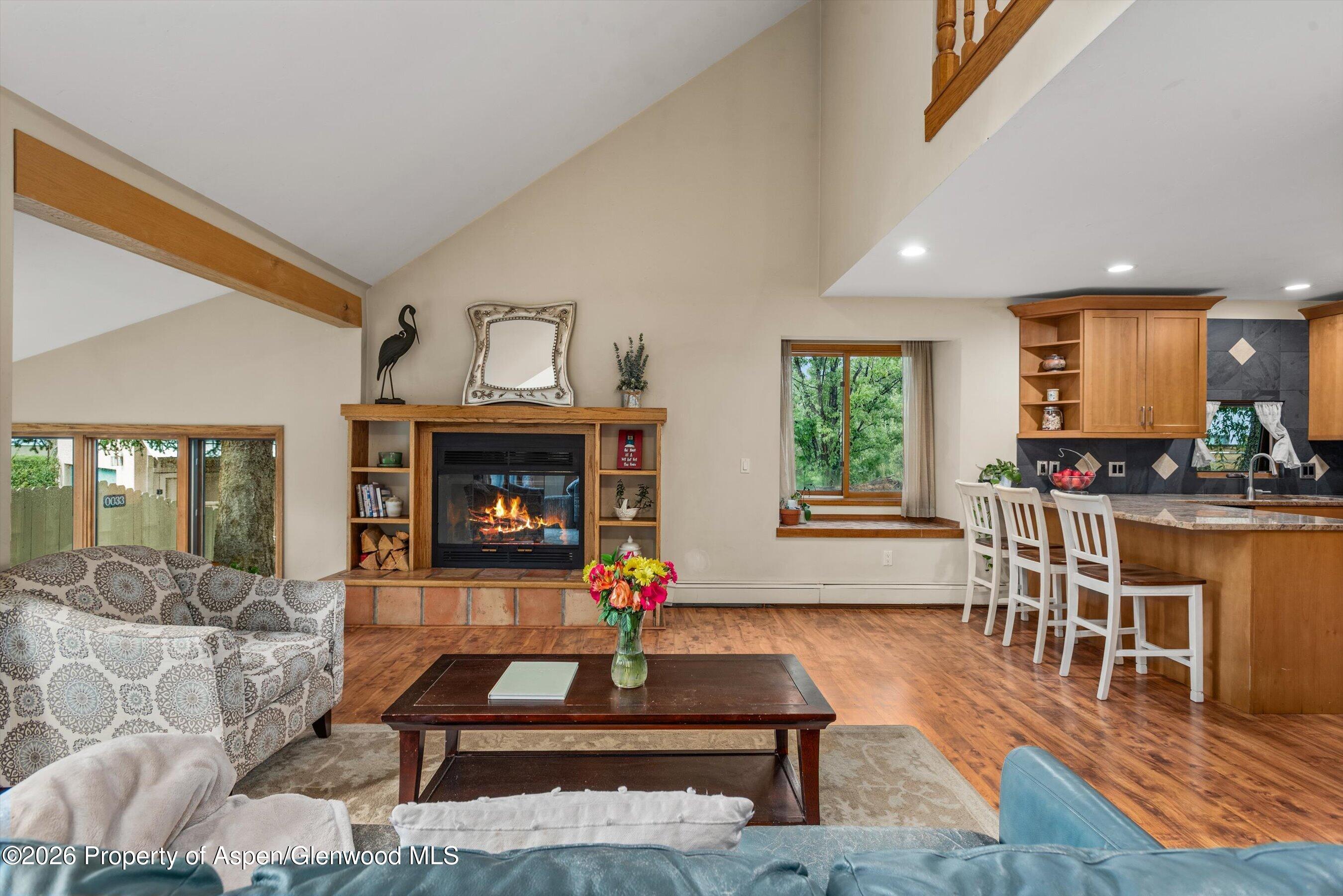 33 Mountain Court Basalt CO 81621
