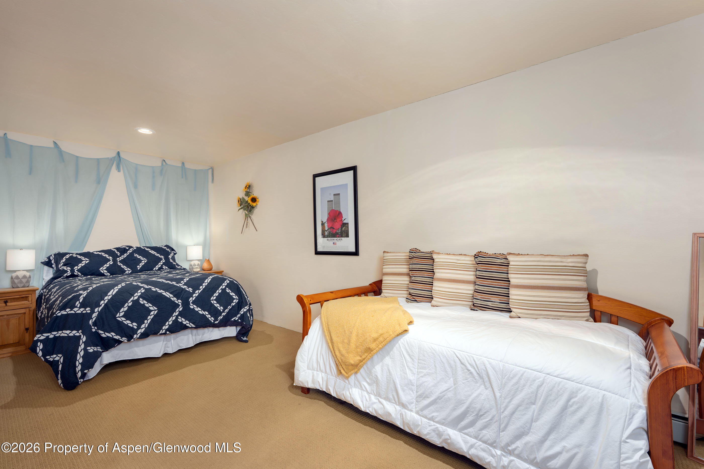 609 Hillcrest Drive Basalt CO 81621