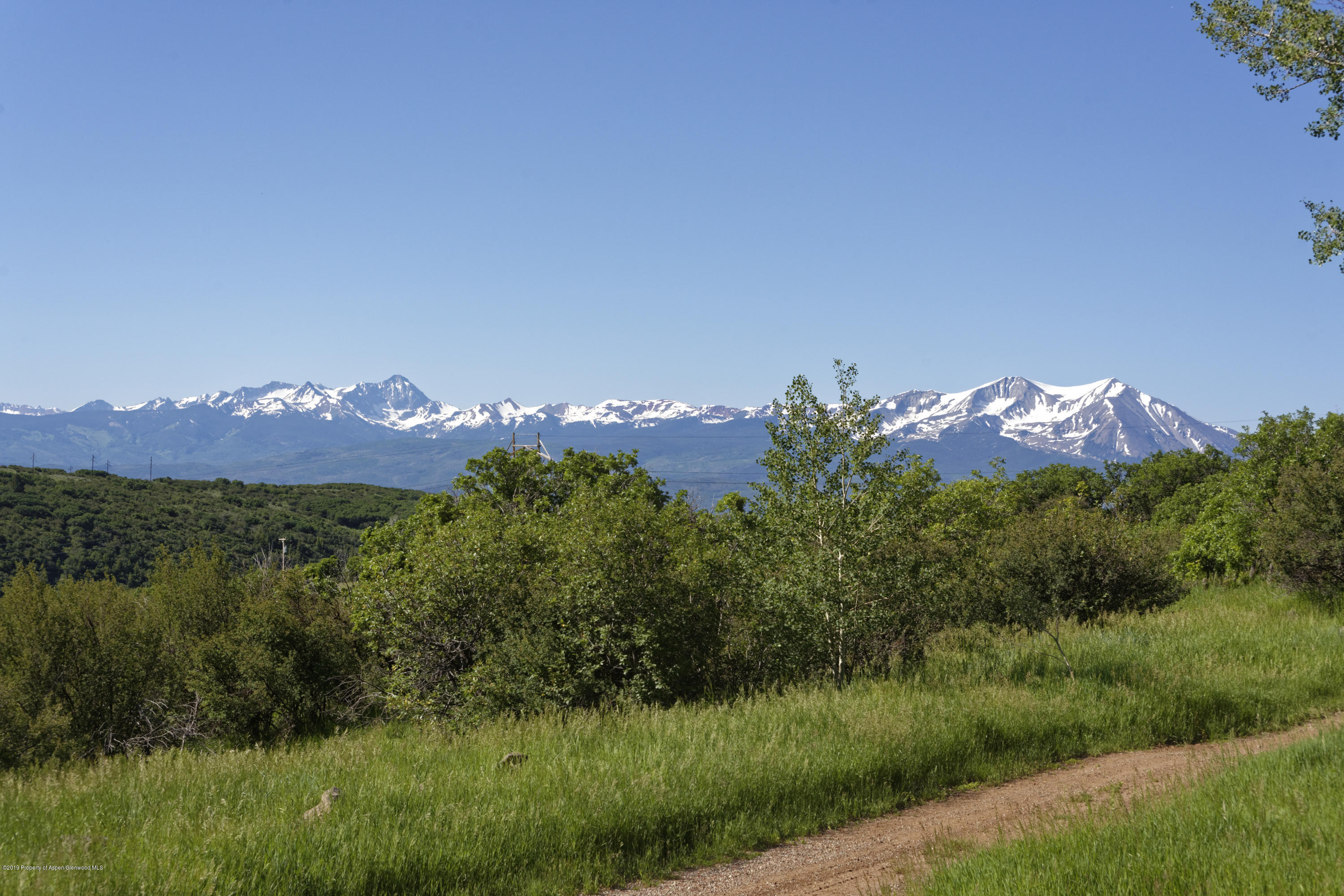 305 Buck Point Drive Carbondale CO 81623
