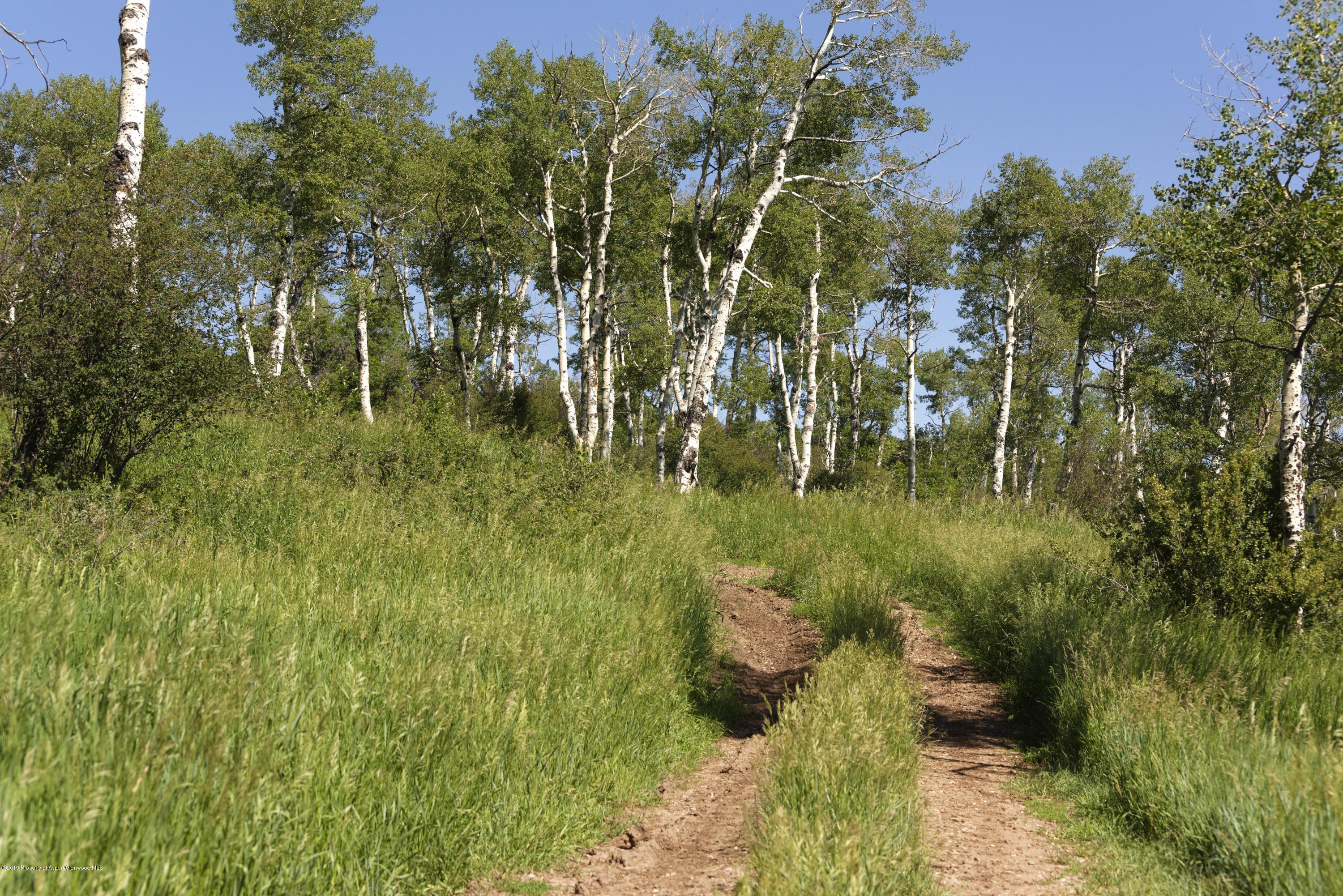 305 Buck Point Drive Carbondale CO 81623