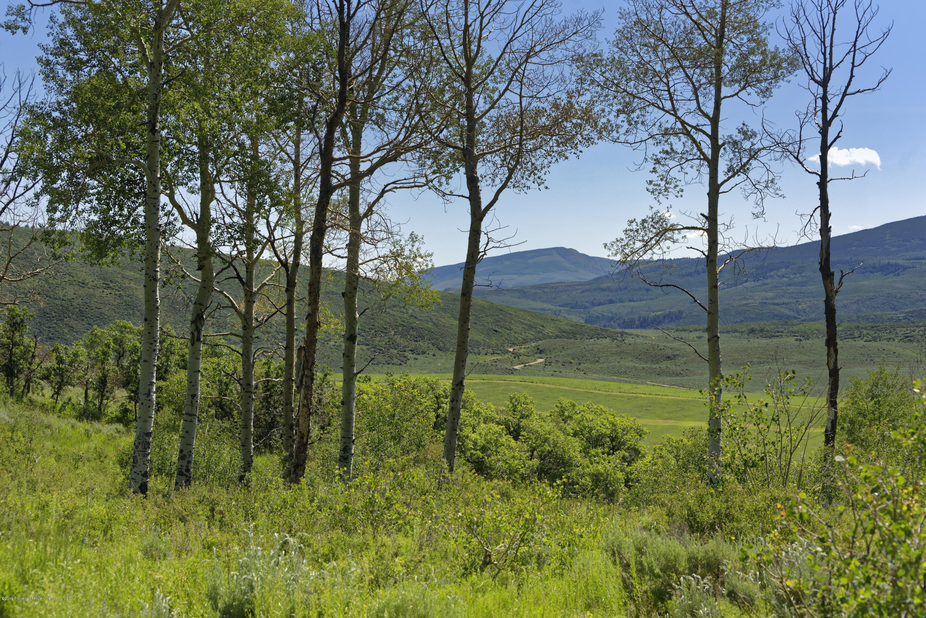 305 Buck Point Drive Carbondale CO 81623