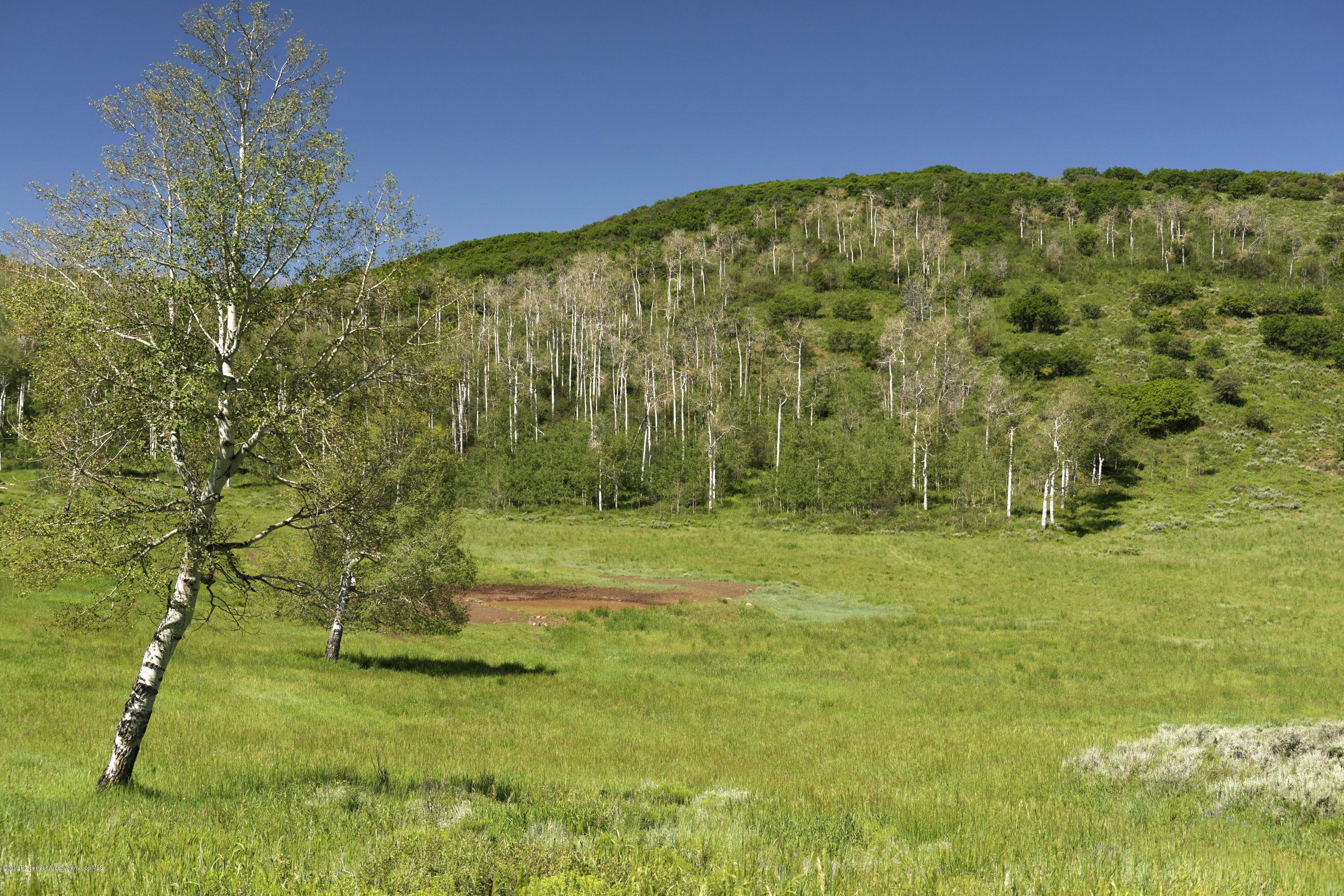 305 Buck Point Drive Carbondale CO 81623
