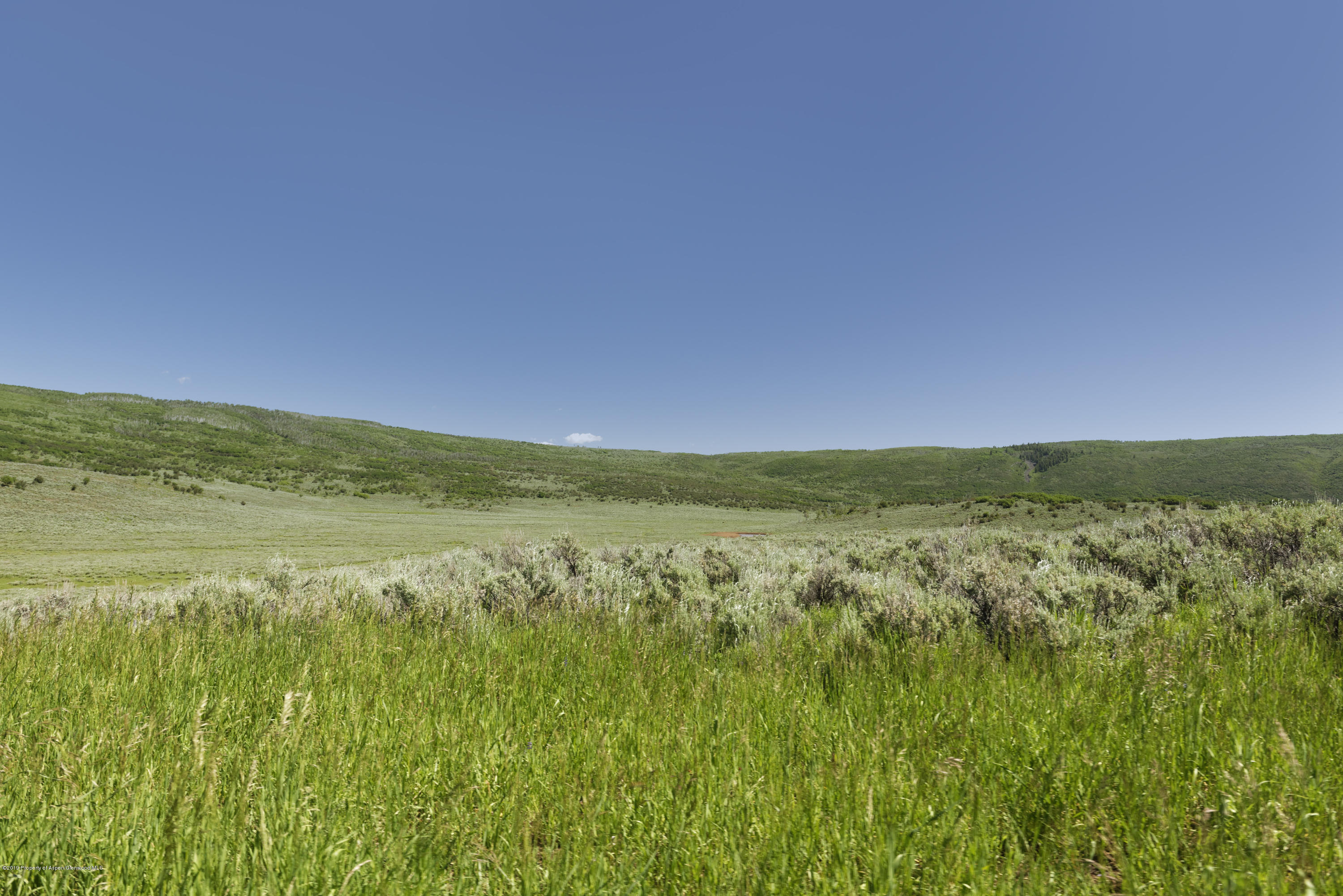 305 Buck Point Drive Carbondale CO 81623