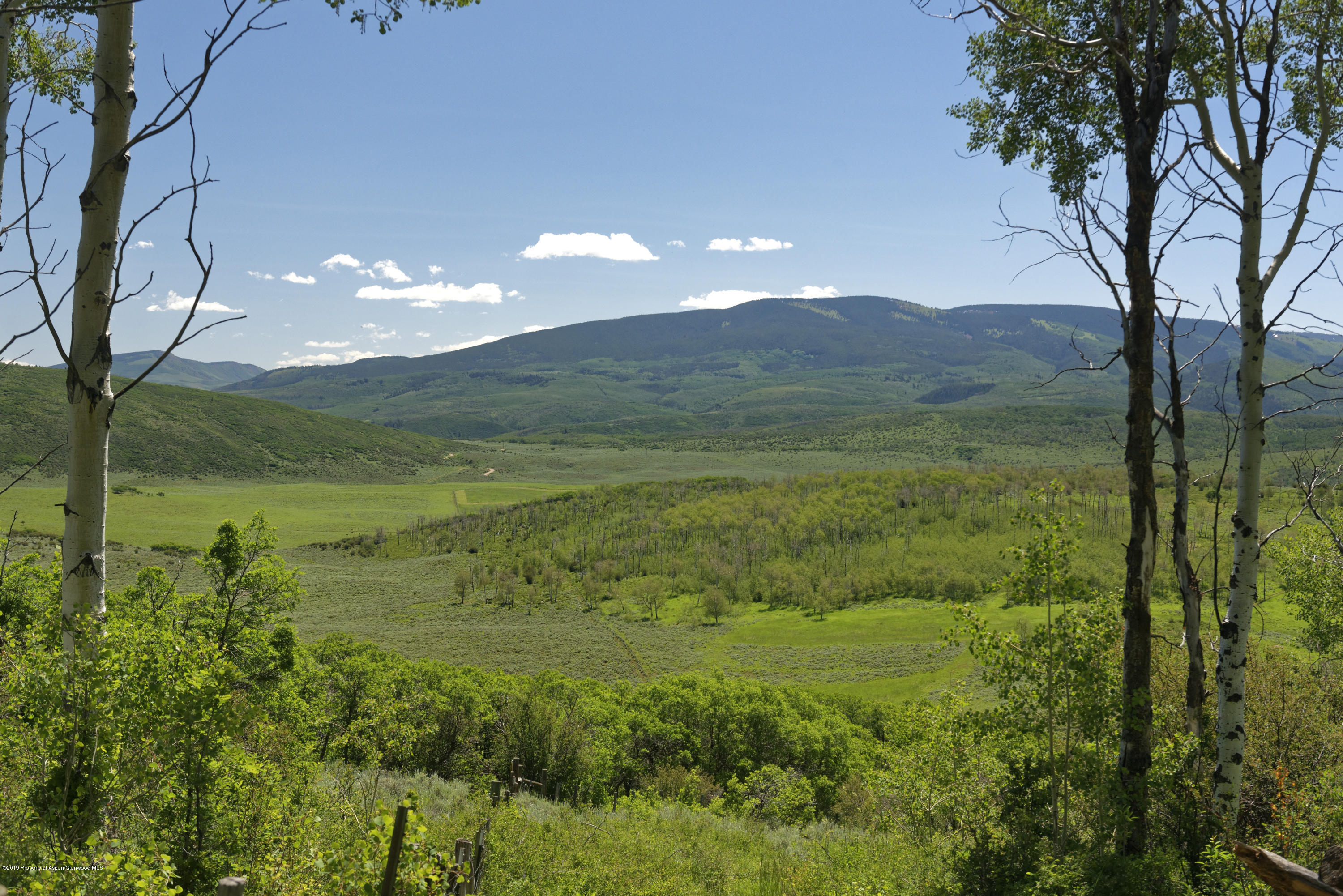 305 Buck Point Drive Carbondale CO 81623