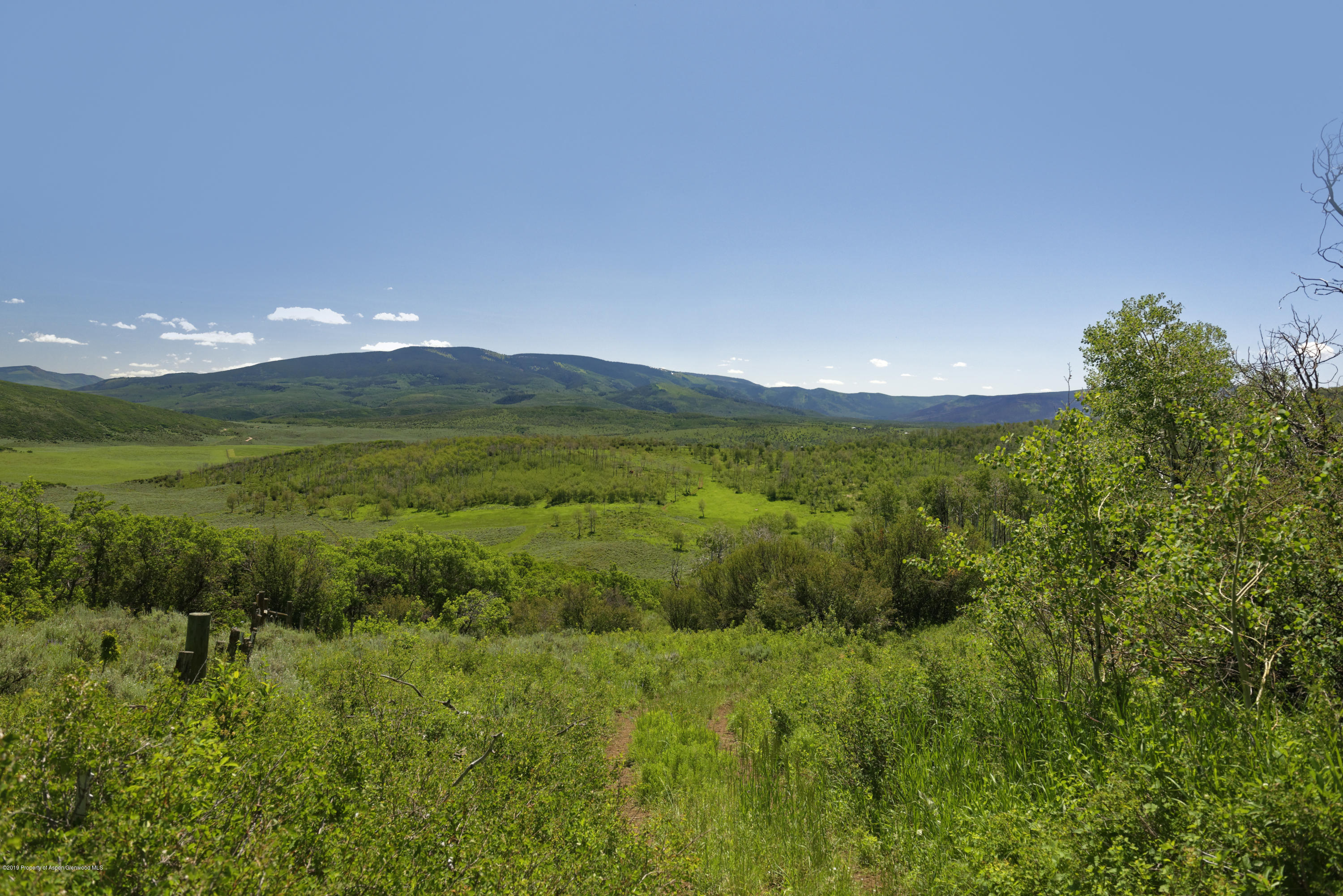 305 Buck Point Drive Carbondale CO 81623