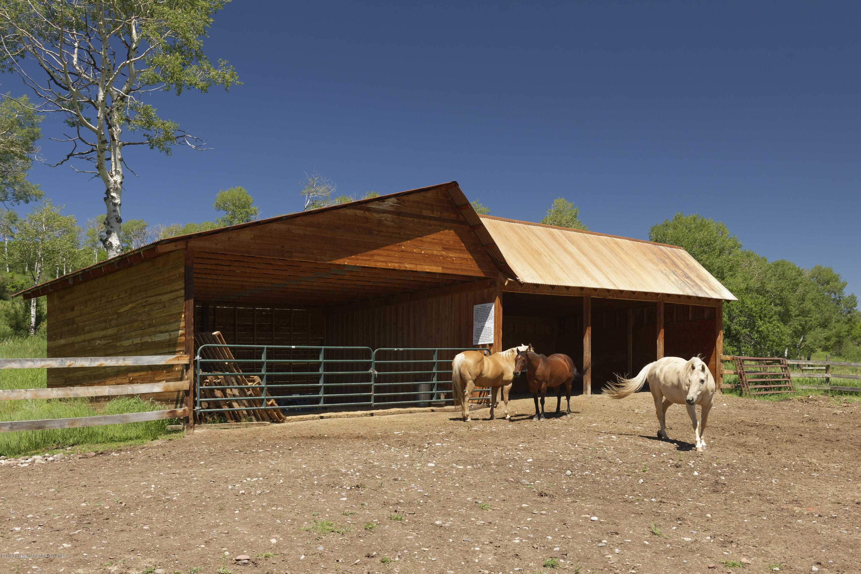 305 Buck Point Drive Carbondale CO 81623