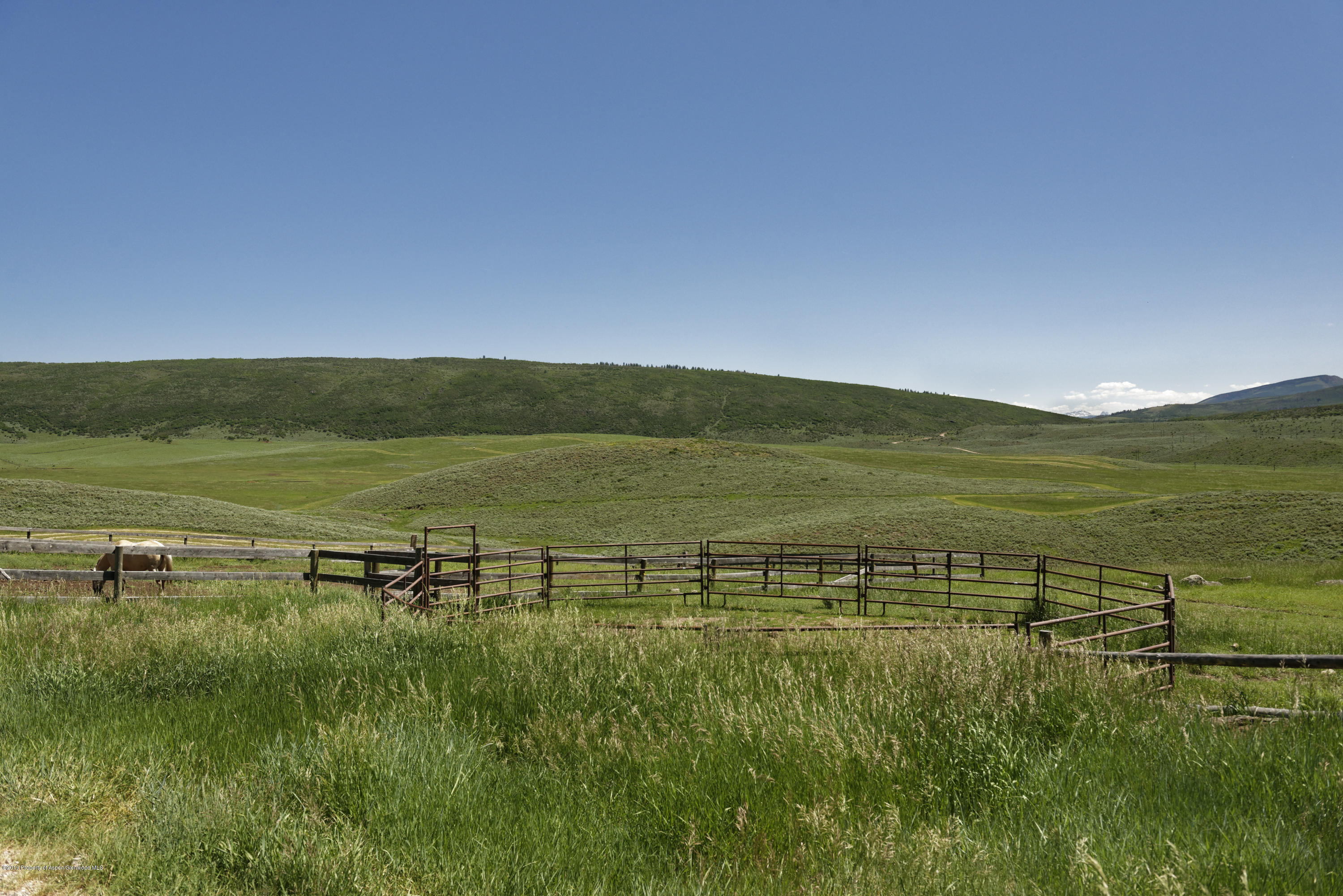 305 Buck Point Drive Carbondale CO 81623