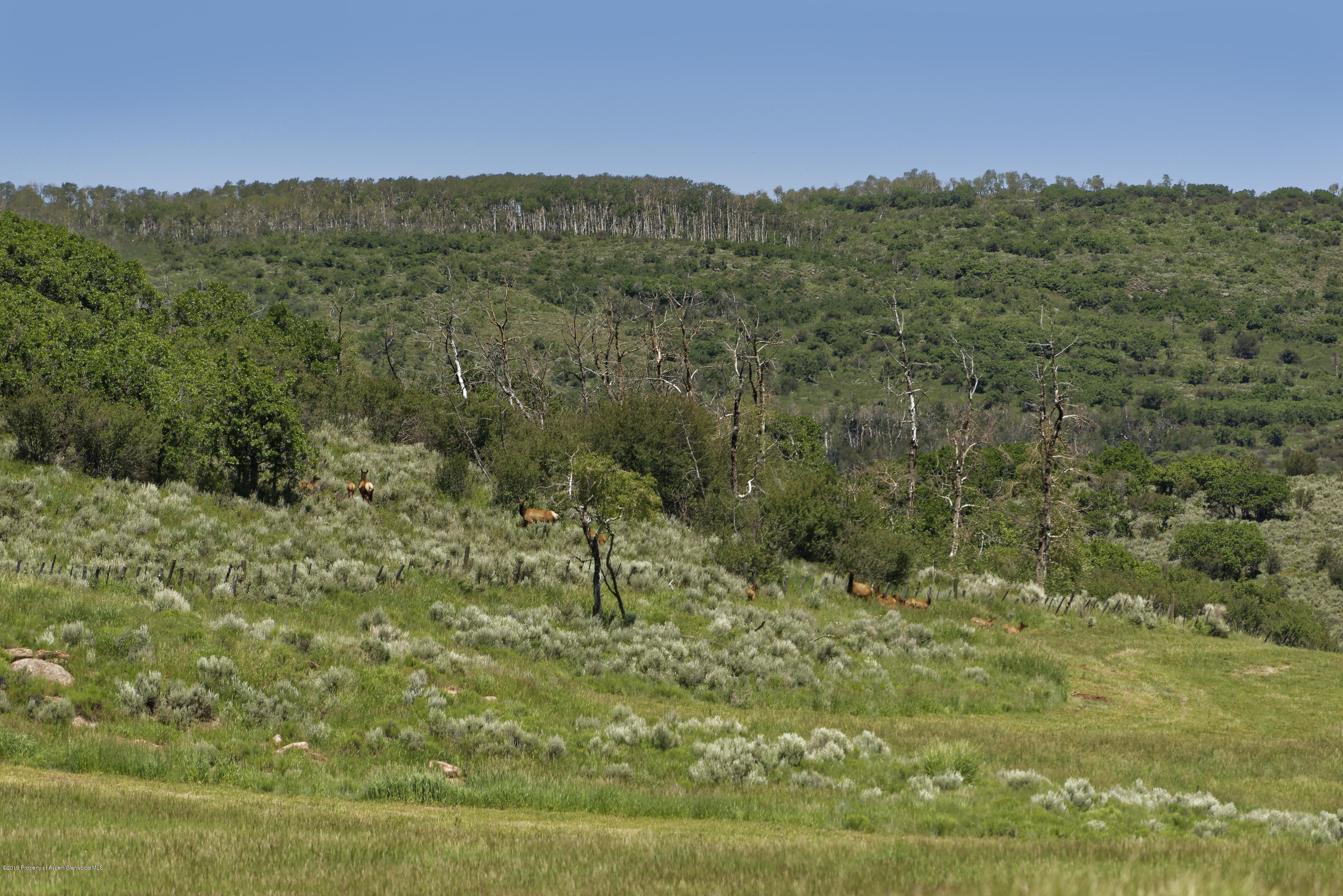 305 Buck Point Drive Carbondale CO 81623