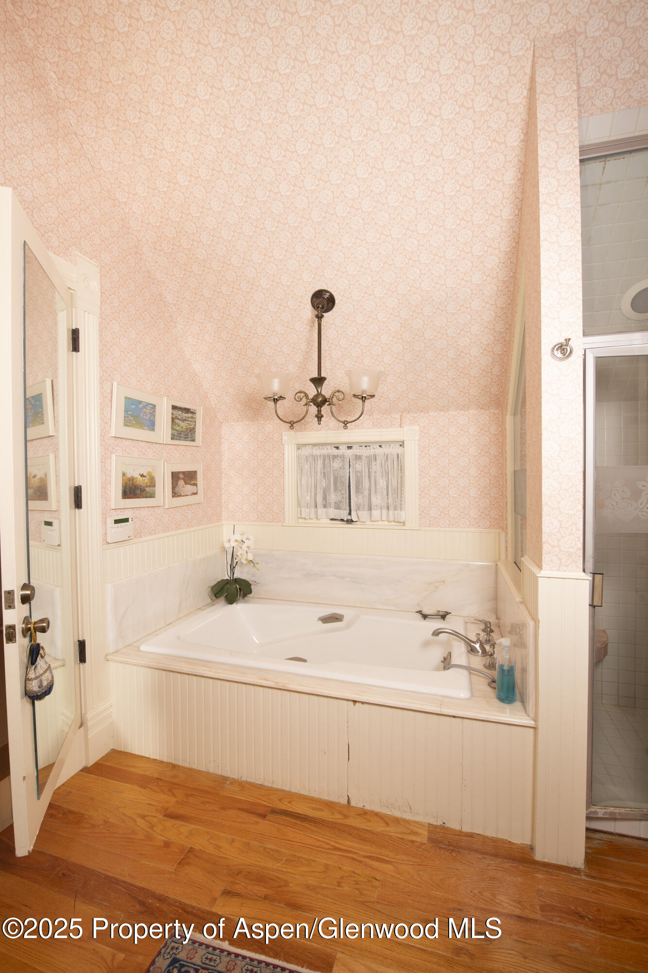 715 W Smuggler Street Aspen CO 81611