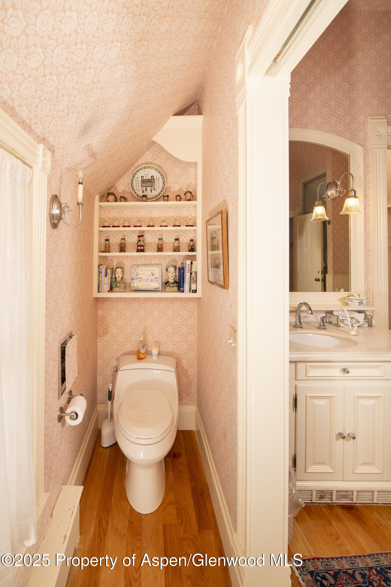 715 W Smuggler Street Aspen CO 81611