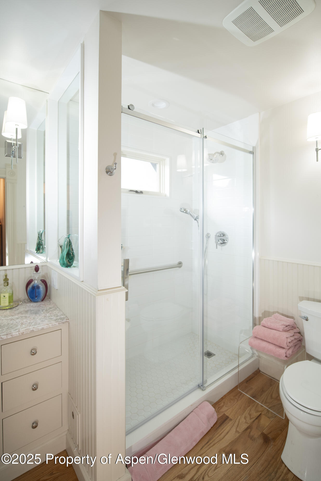 715 W Smuggler Street Aspen CO 81611