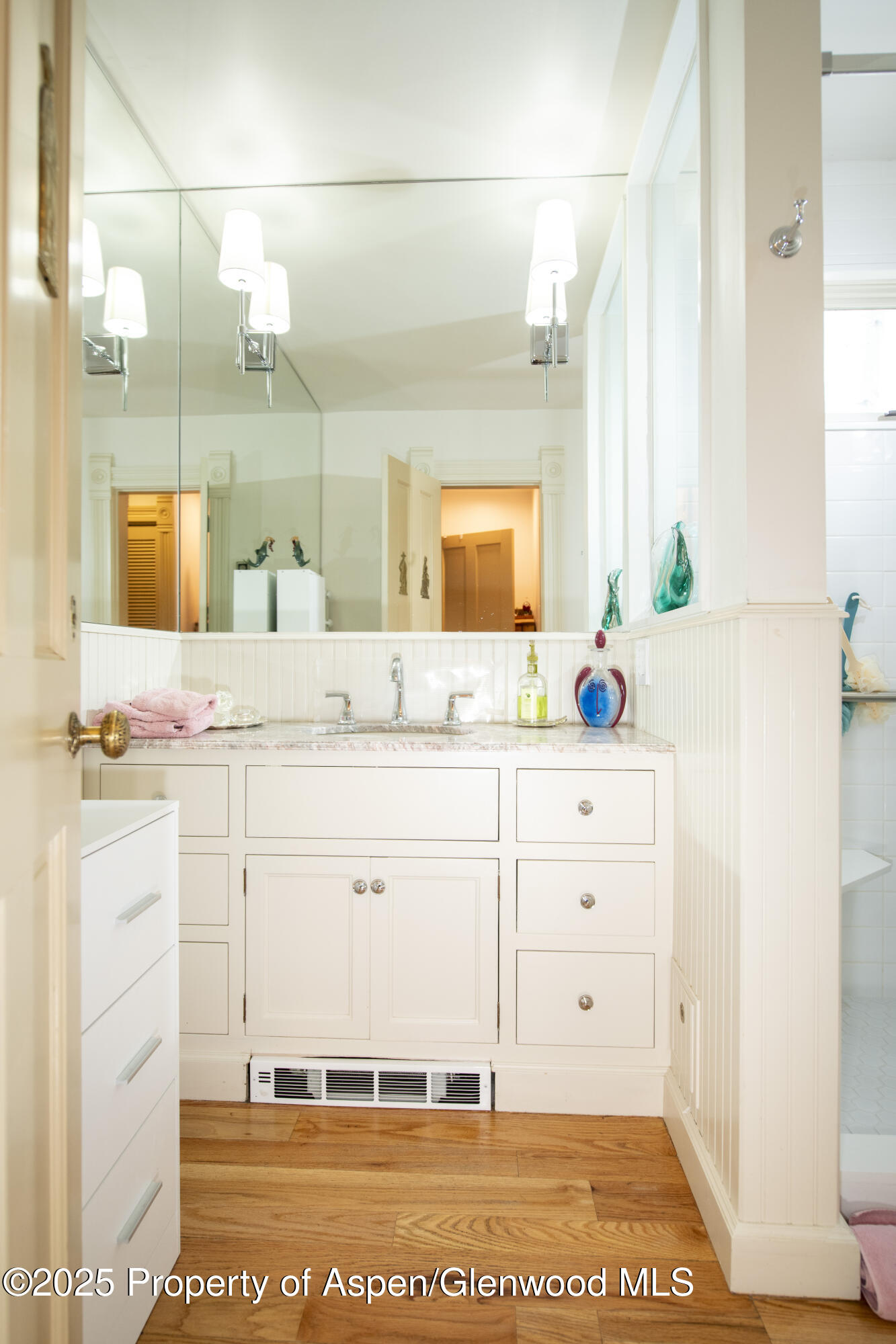 715 W Smuggler Street Aspen CO 81611