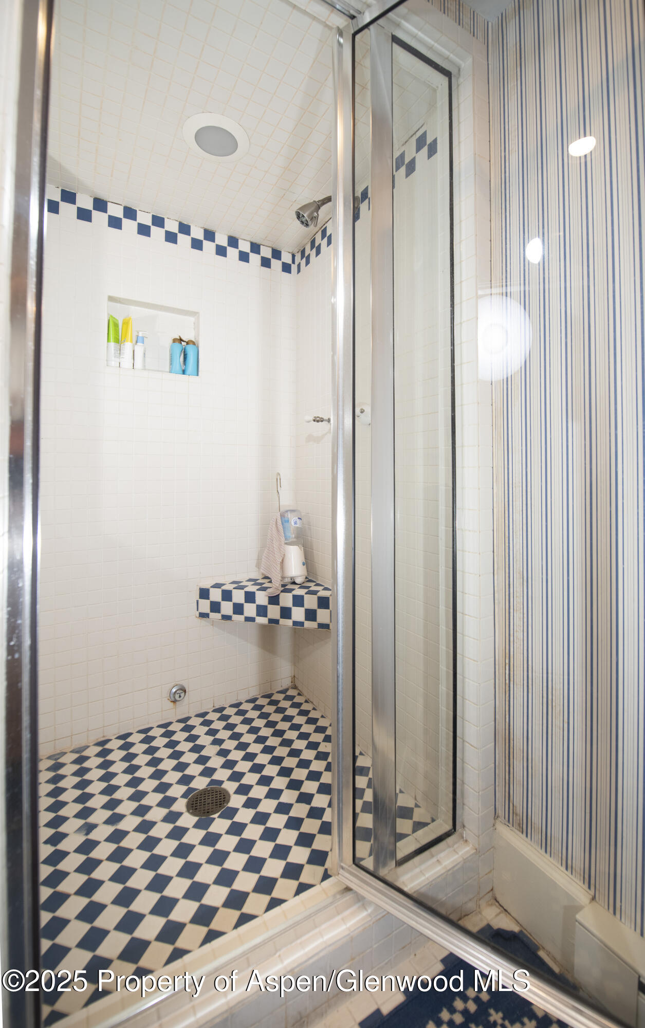 715 W Smuggler Street Aspen CO 81611