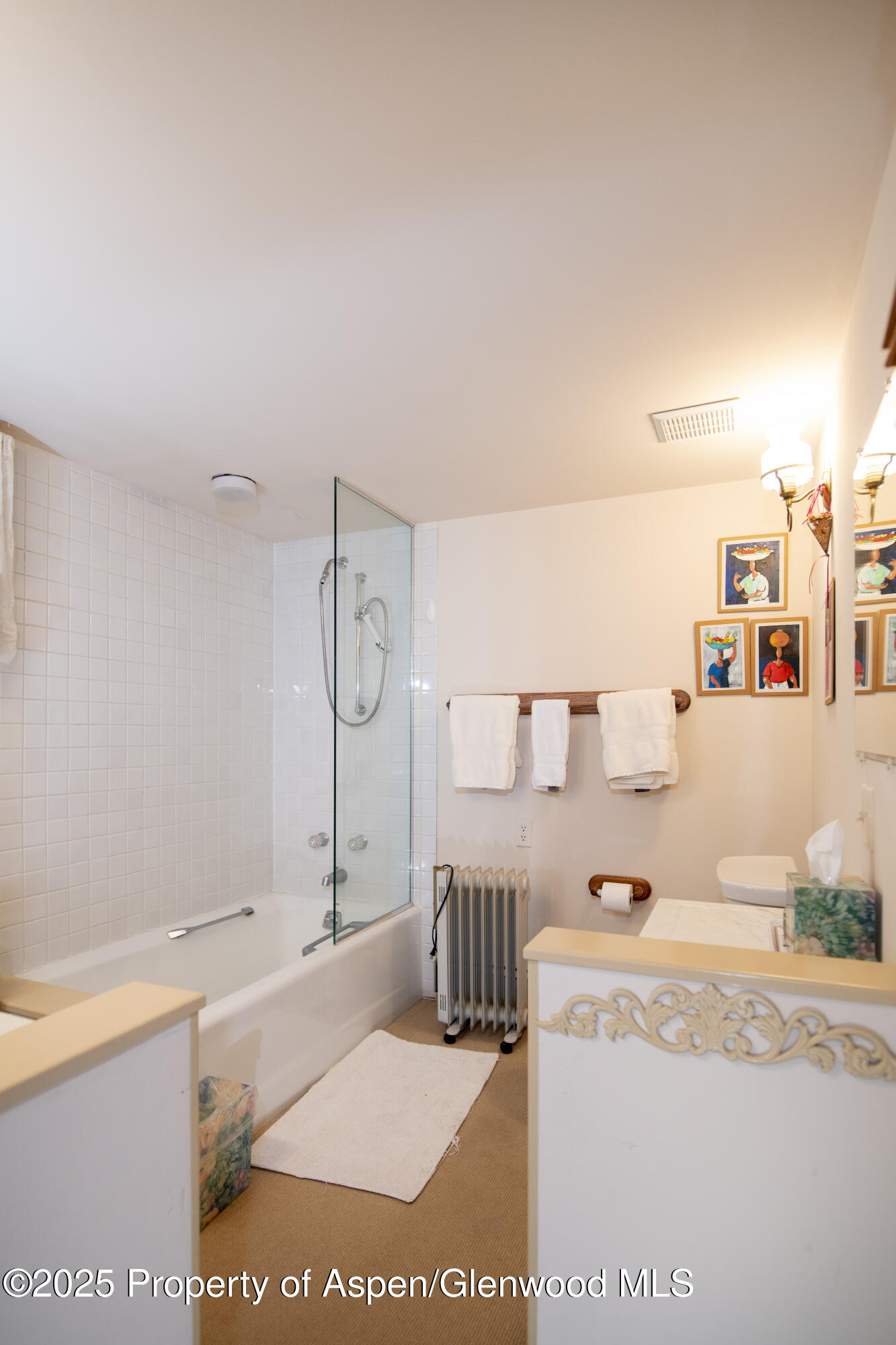 715 W Smuggler Street Aspen CO 81611