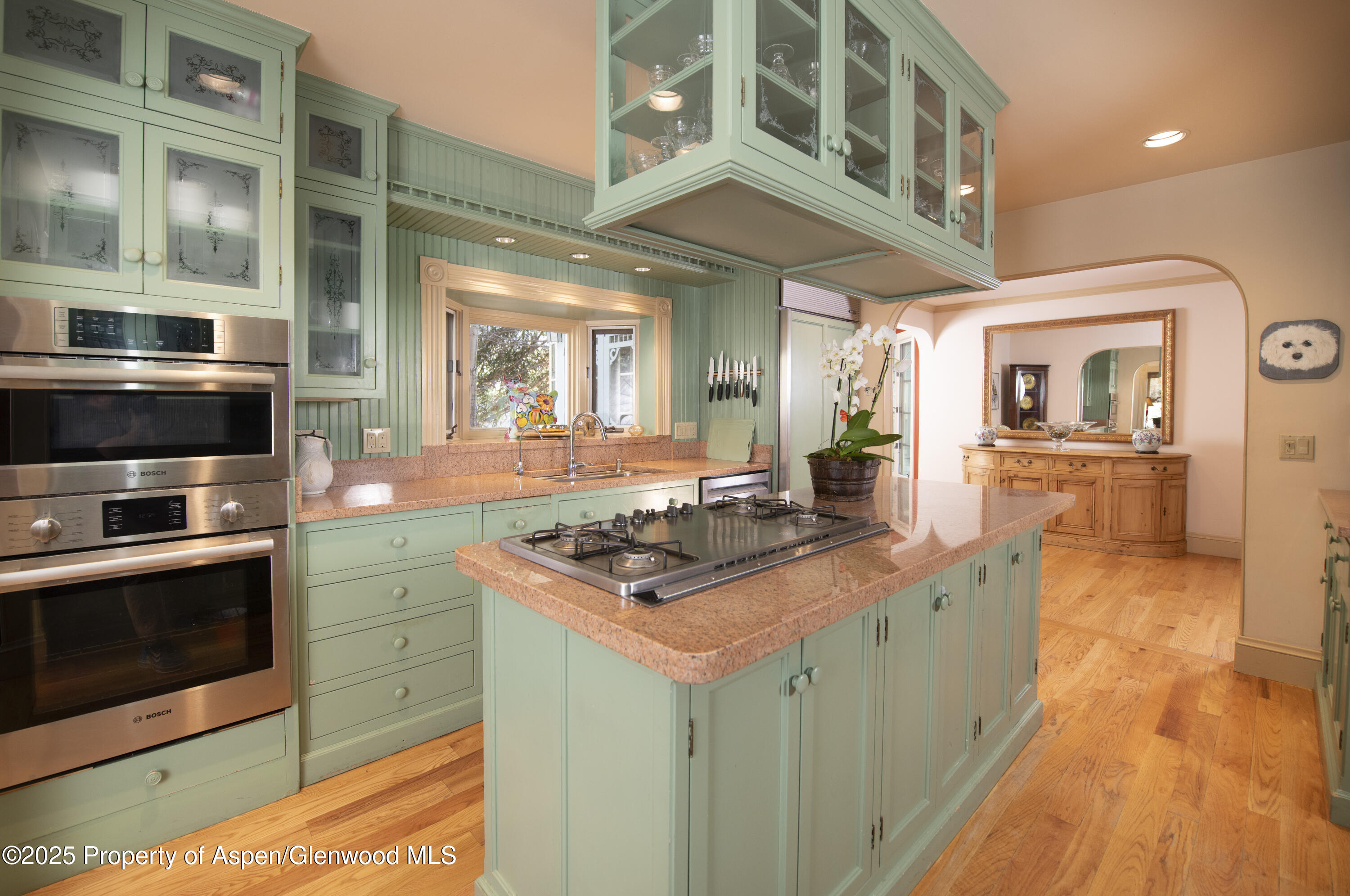 715 W Smuggler Street Aspen CO 81611