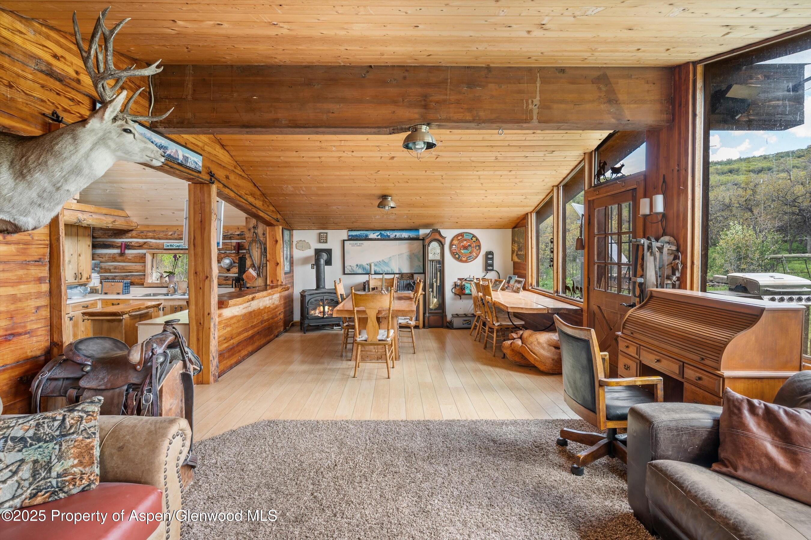 3714 Bear Ridge Road Basalt CO 81621