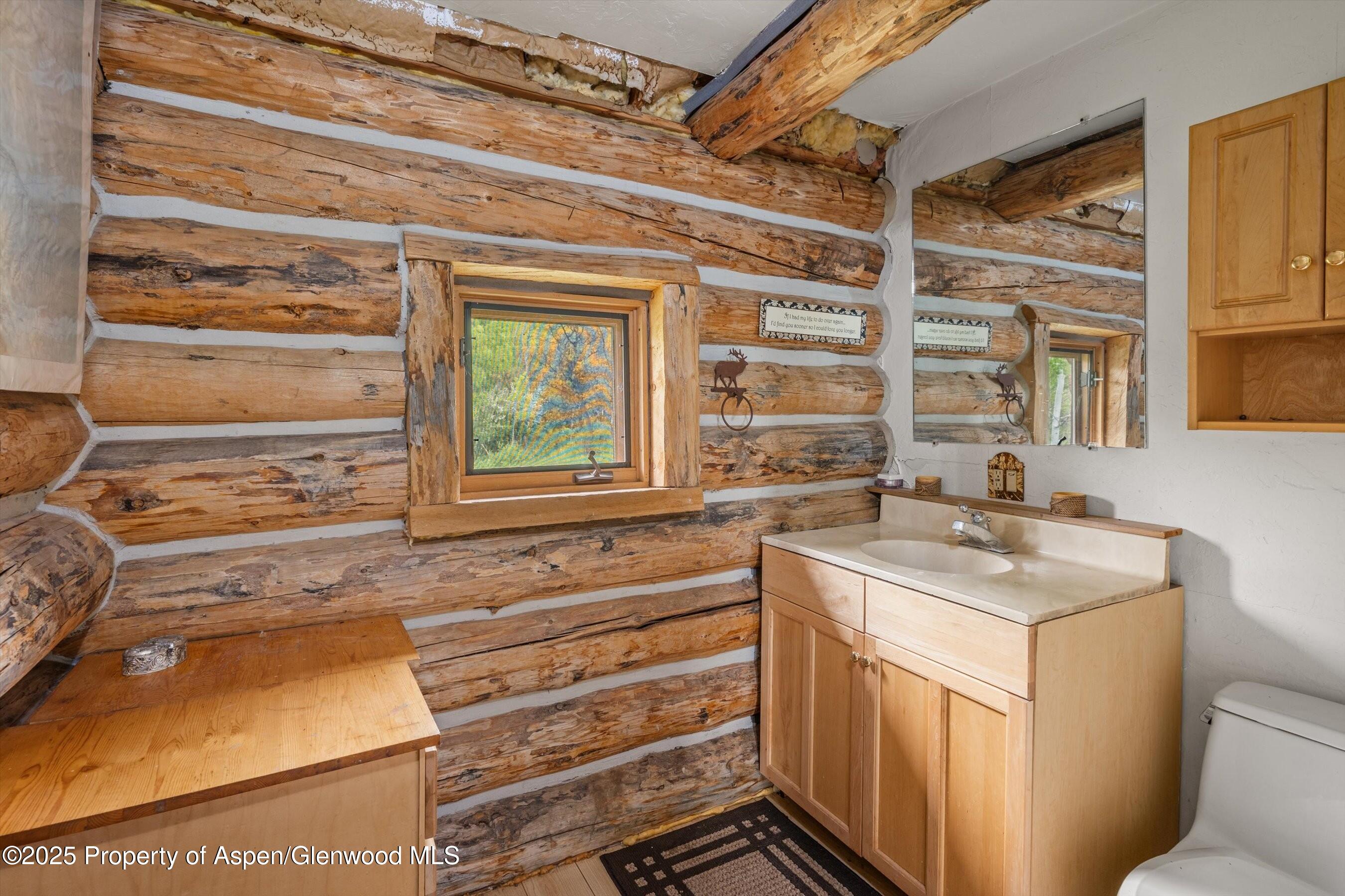 3714 Bear Ridge Road Basalt CO 81621