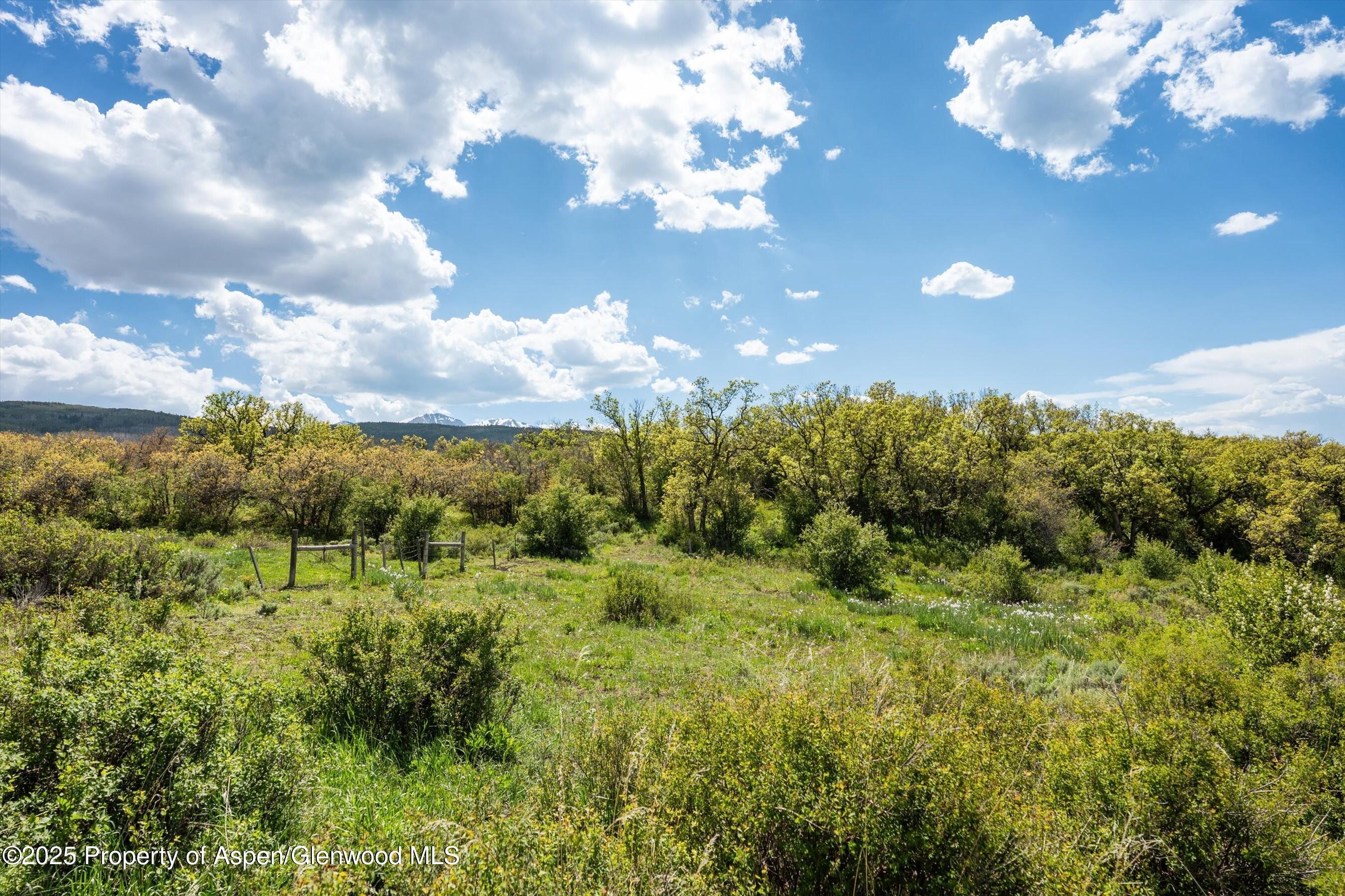 3714 Bear Ridge Road Basalt CO 81621