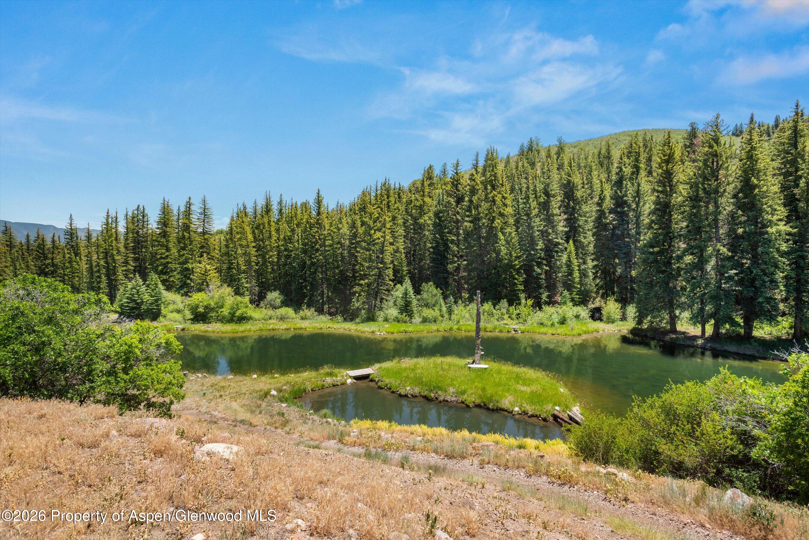 1645 Capitol Creek Road Snowmass CO 81654