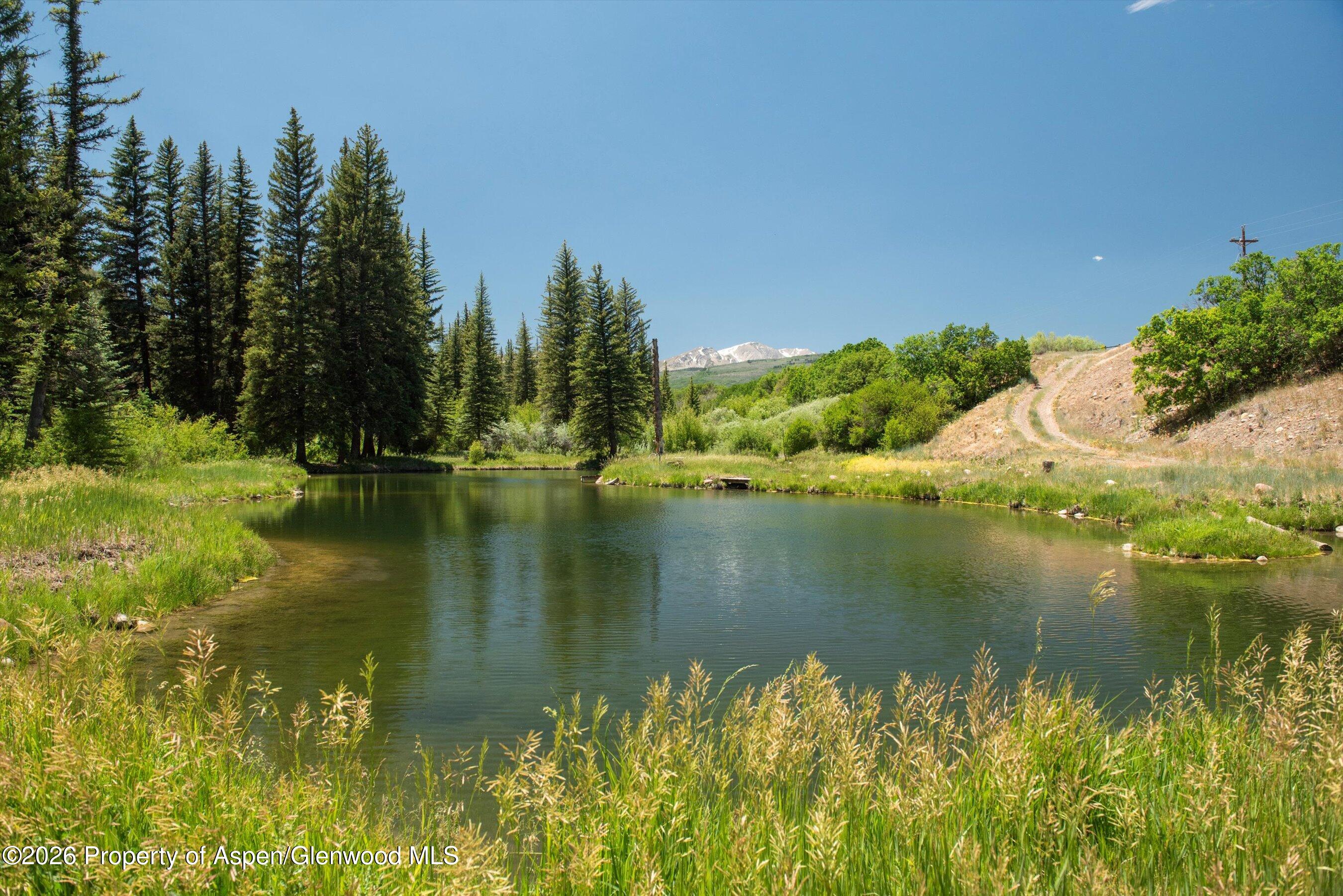 1645 Capitol Creek Road Snowmass CO 81654