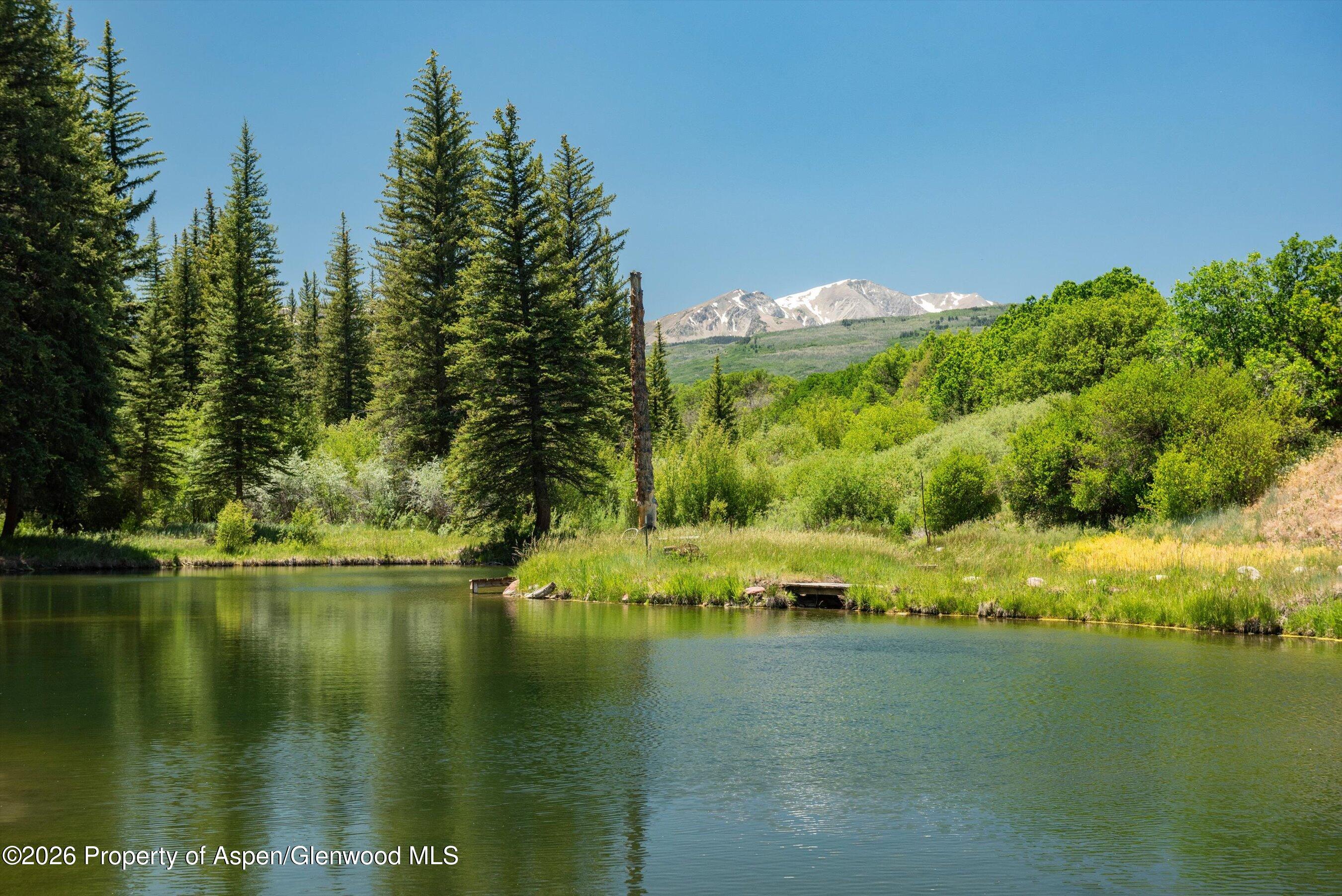 1645 Capitol Creek Road Snowmass CO 81654