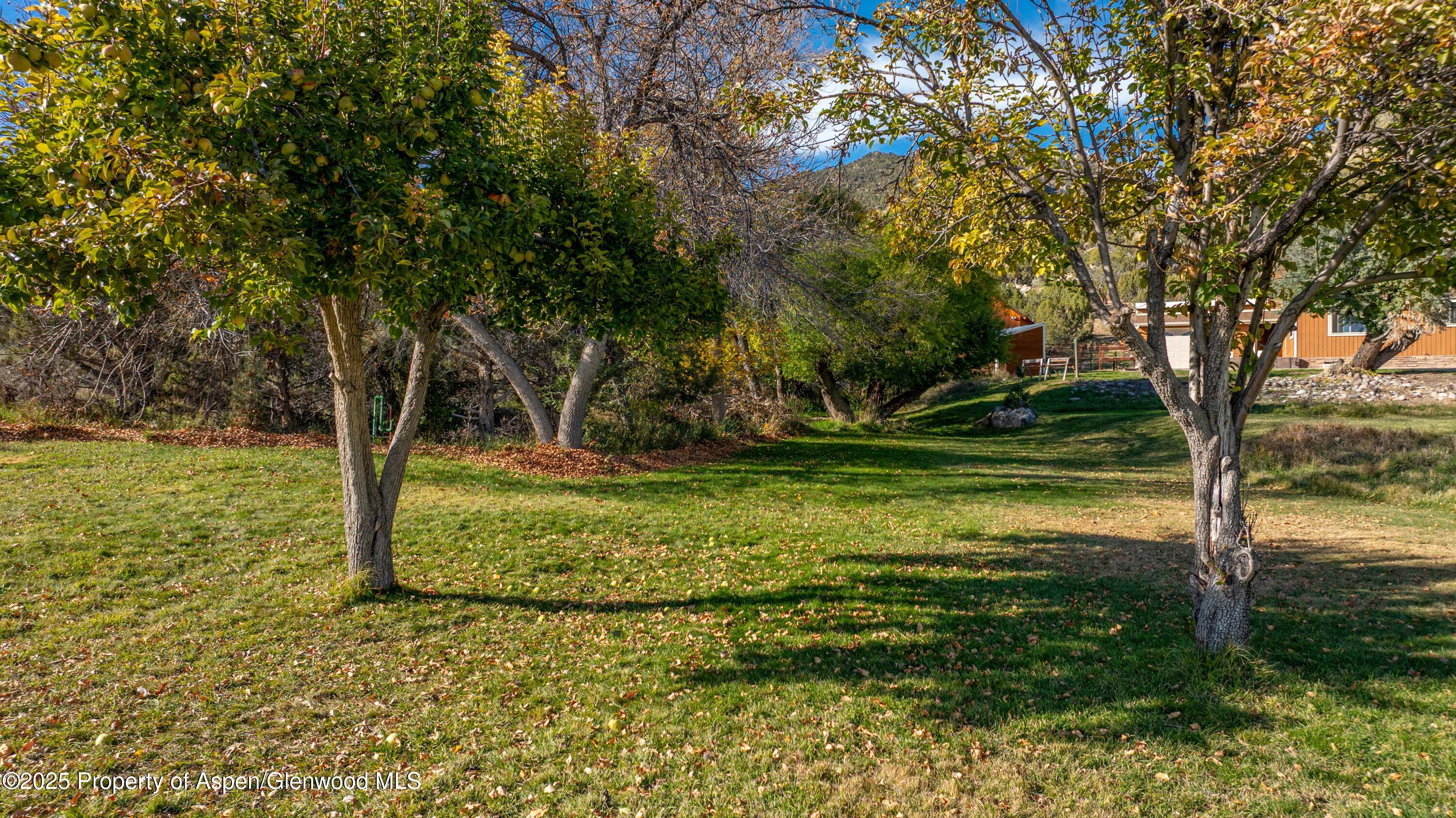 1849 Odin Drive Silt CO 81652