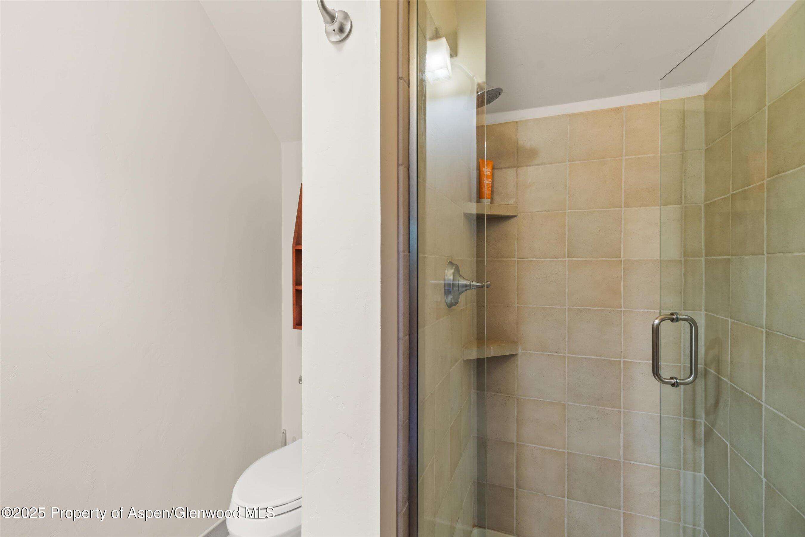 135 Irwin Drive Redstone CO 81623