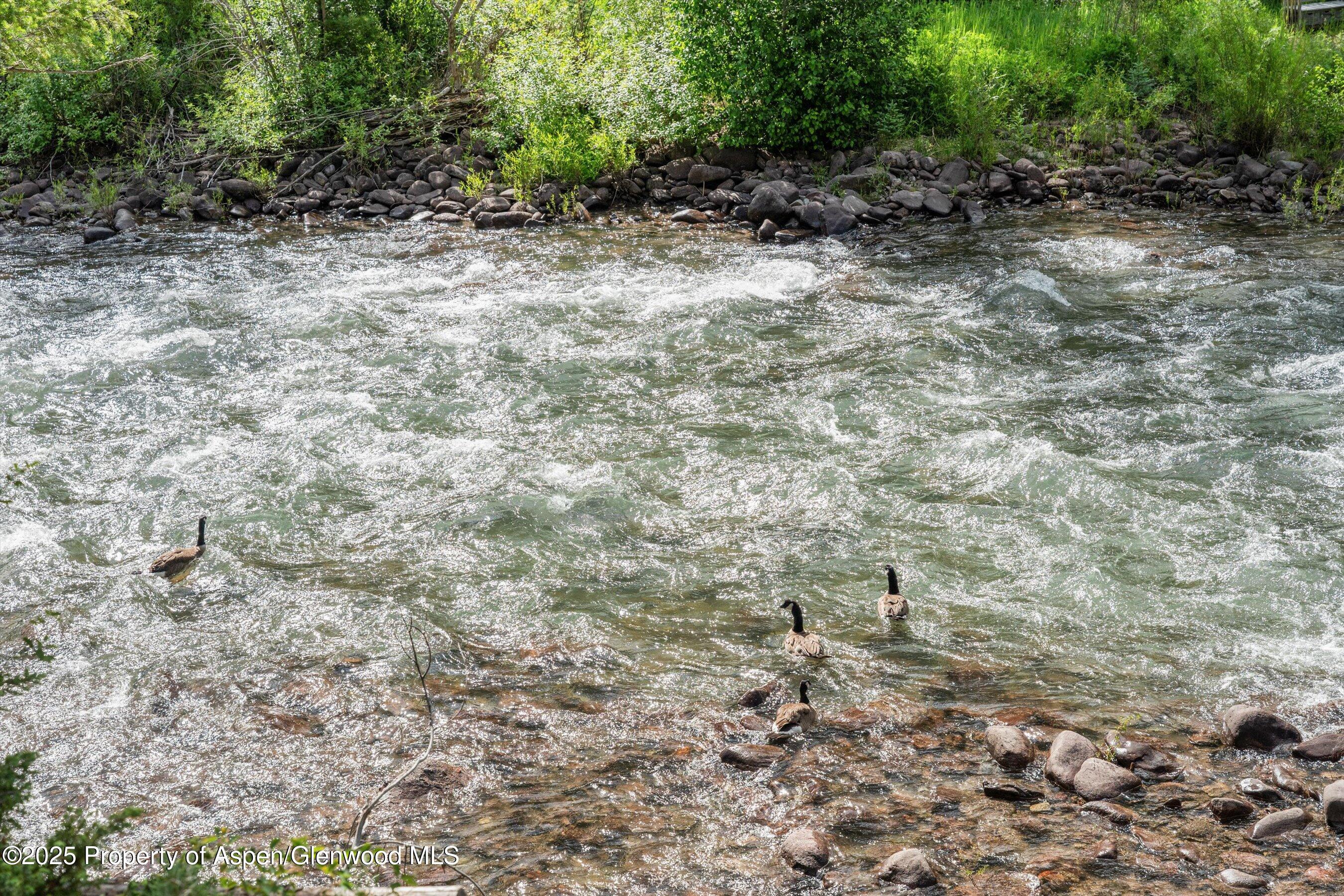 135 Irwin Drive Redstone CO 81623