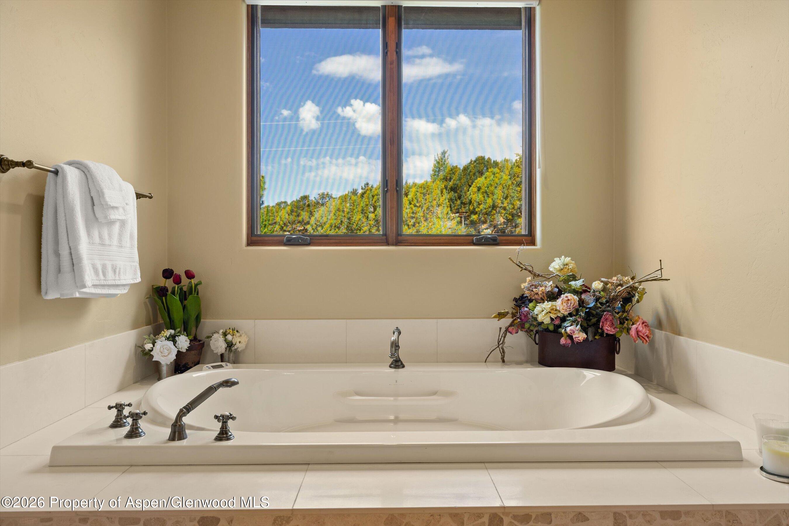 4 Sunrise Lane Carbondale CO 81623