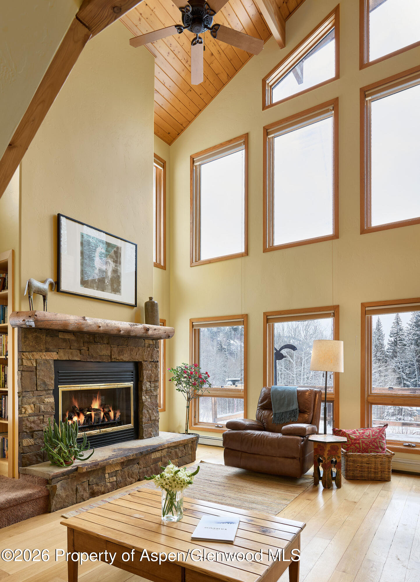 290 Ruedi Creek Road Basalt CO 81621