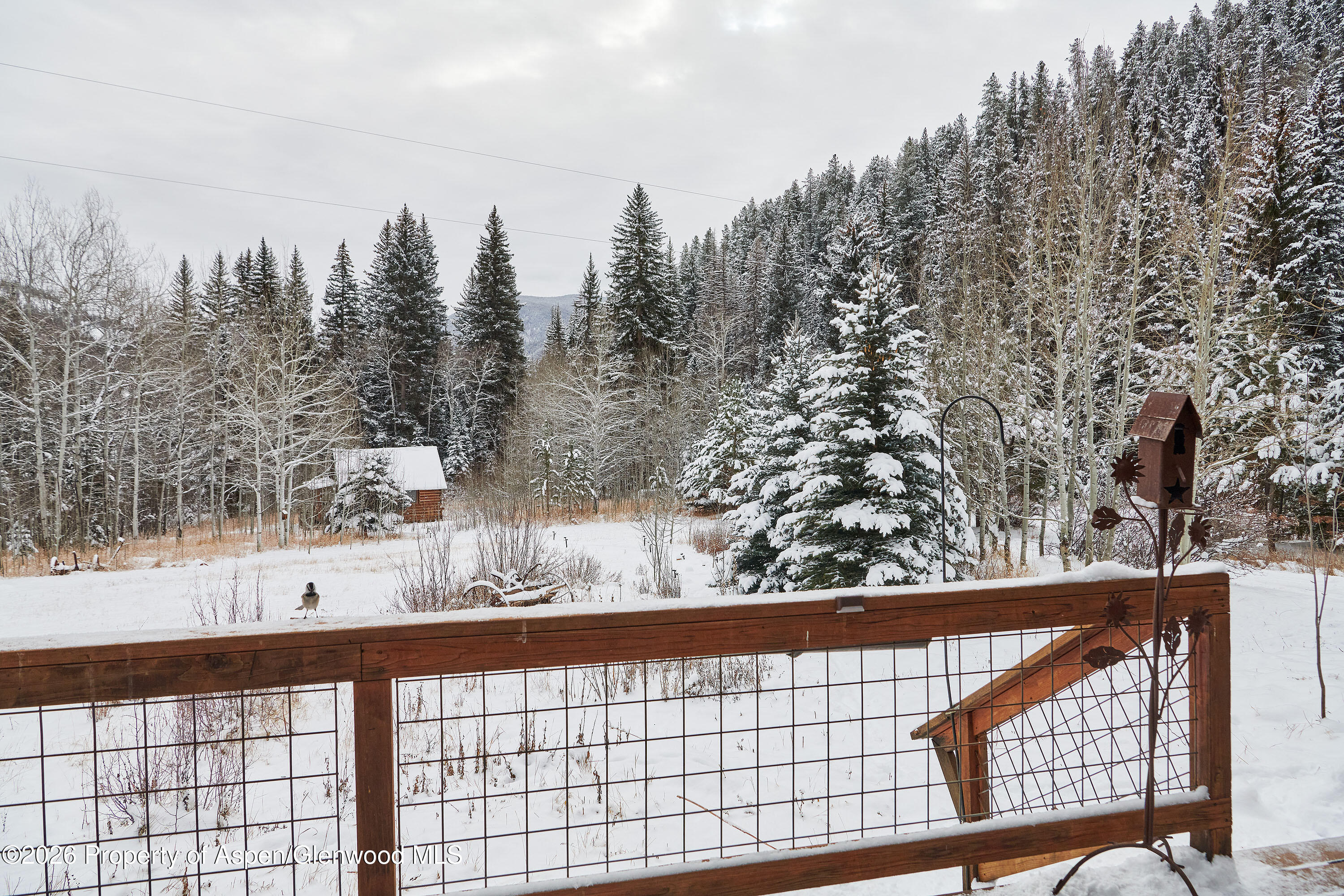 290 Ruedi Creek Road Basalt CO 81621