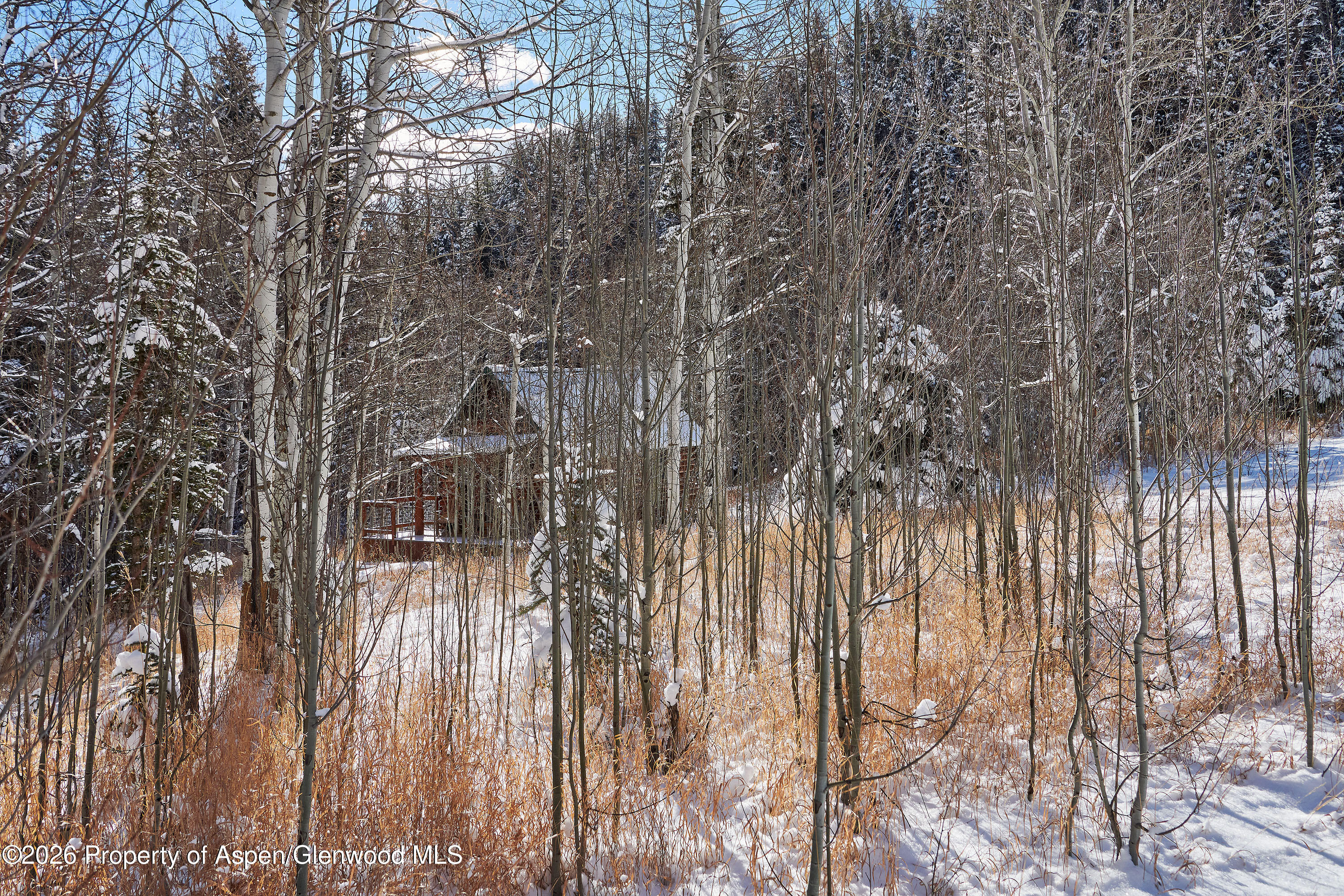 290 Ruedi Creek Road Basalt CO 81621