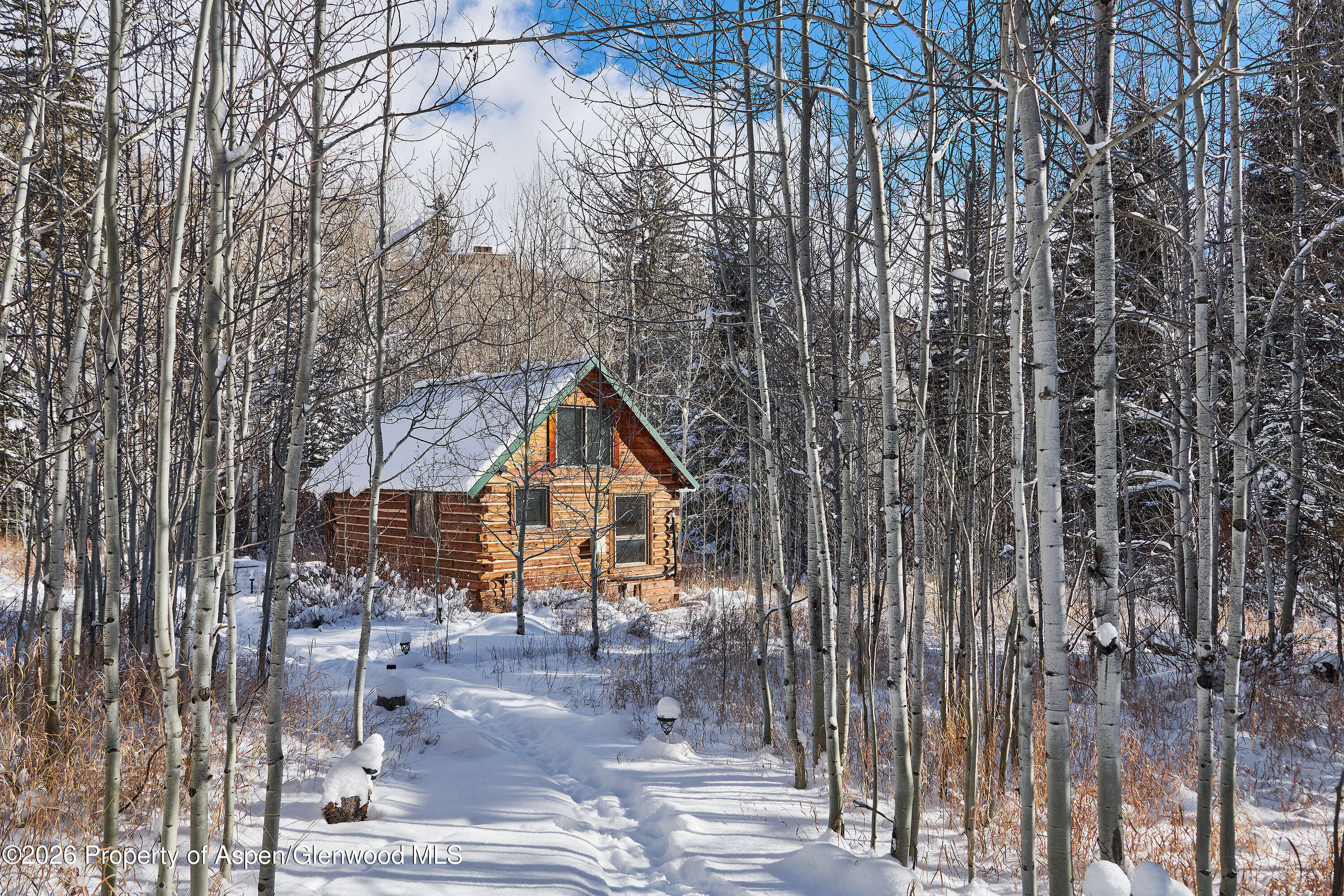 290 Ruedi Creek Road Basalt CO 81621