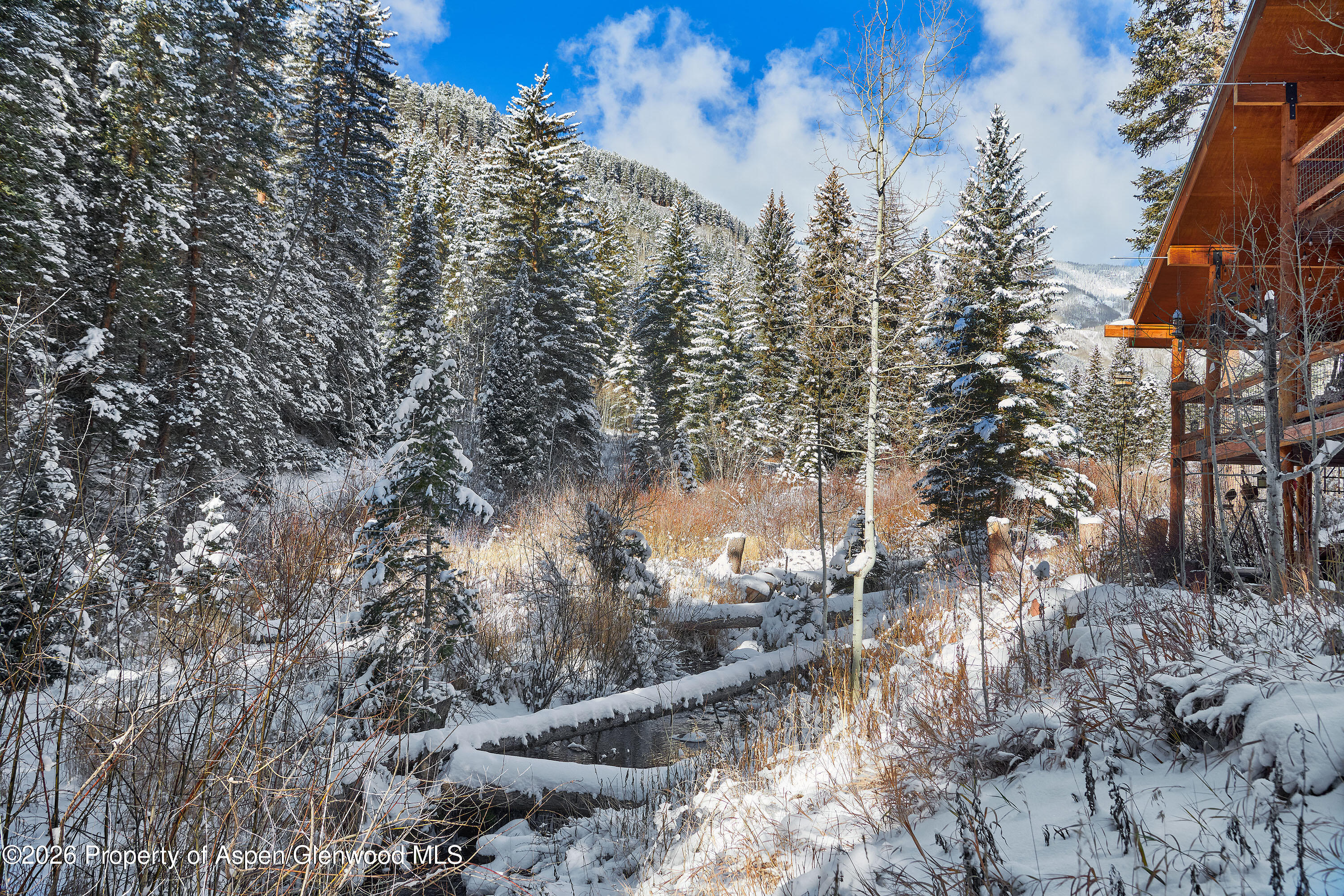 290 Ruedi Creek Road Basalt CO 81621