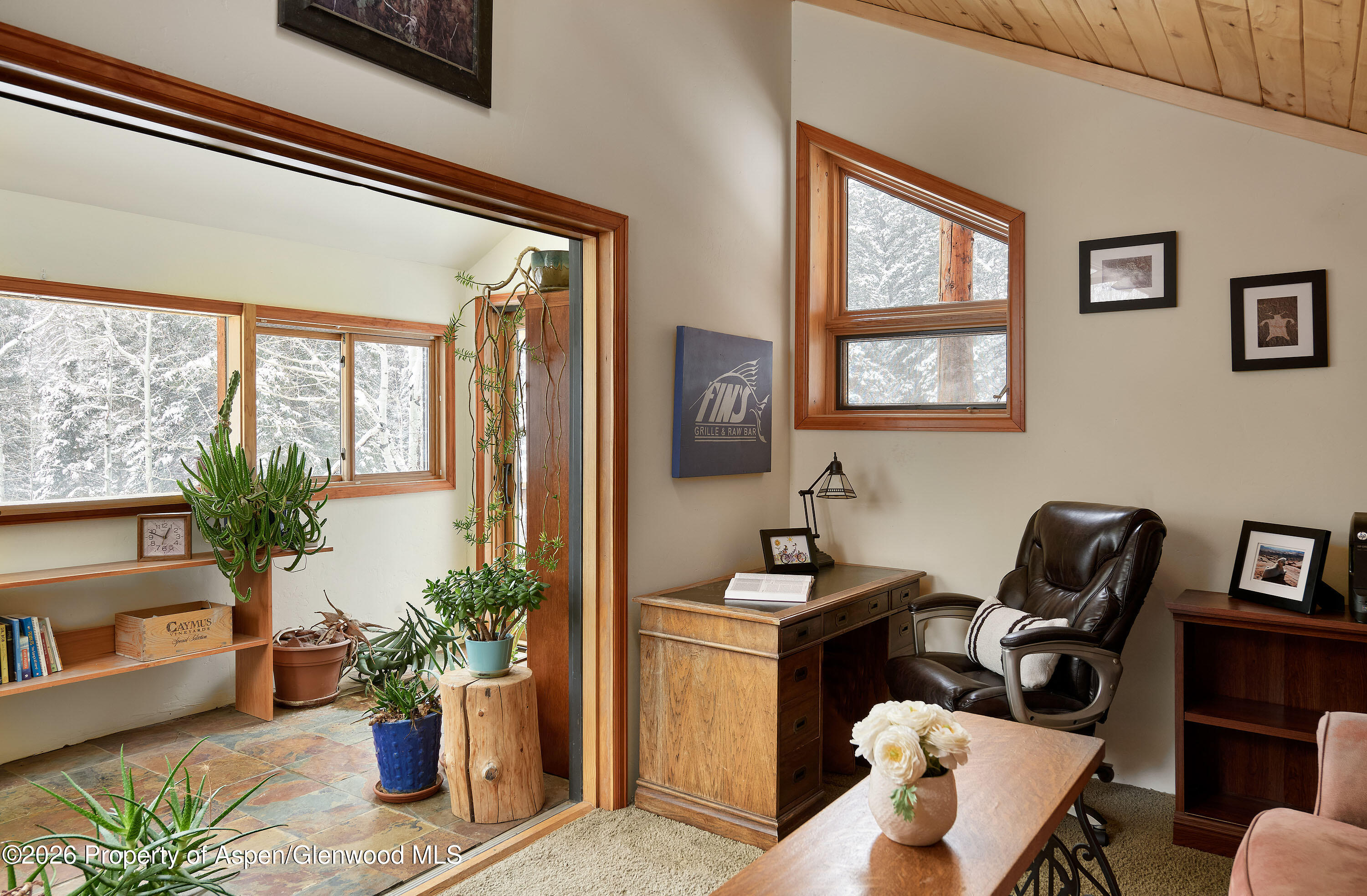 290 Ruedi Creek Road Basalt CO 81621