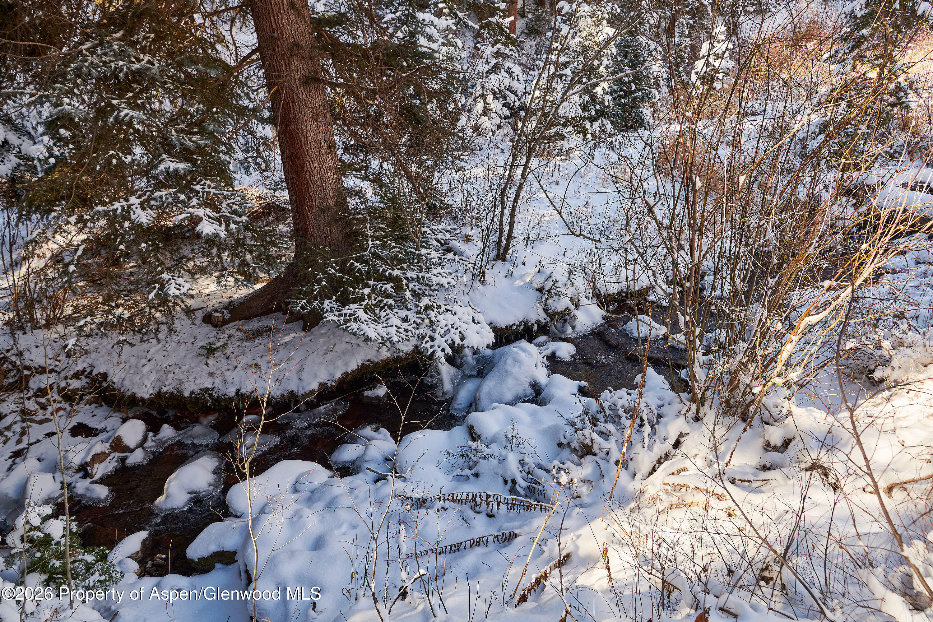 290 Ruedi Creek Road Basalt CO 81621