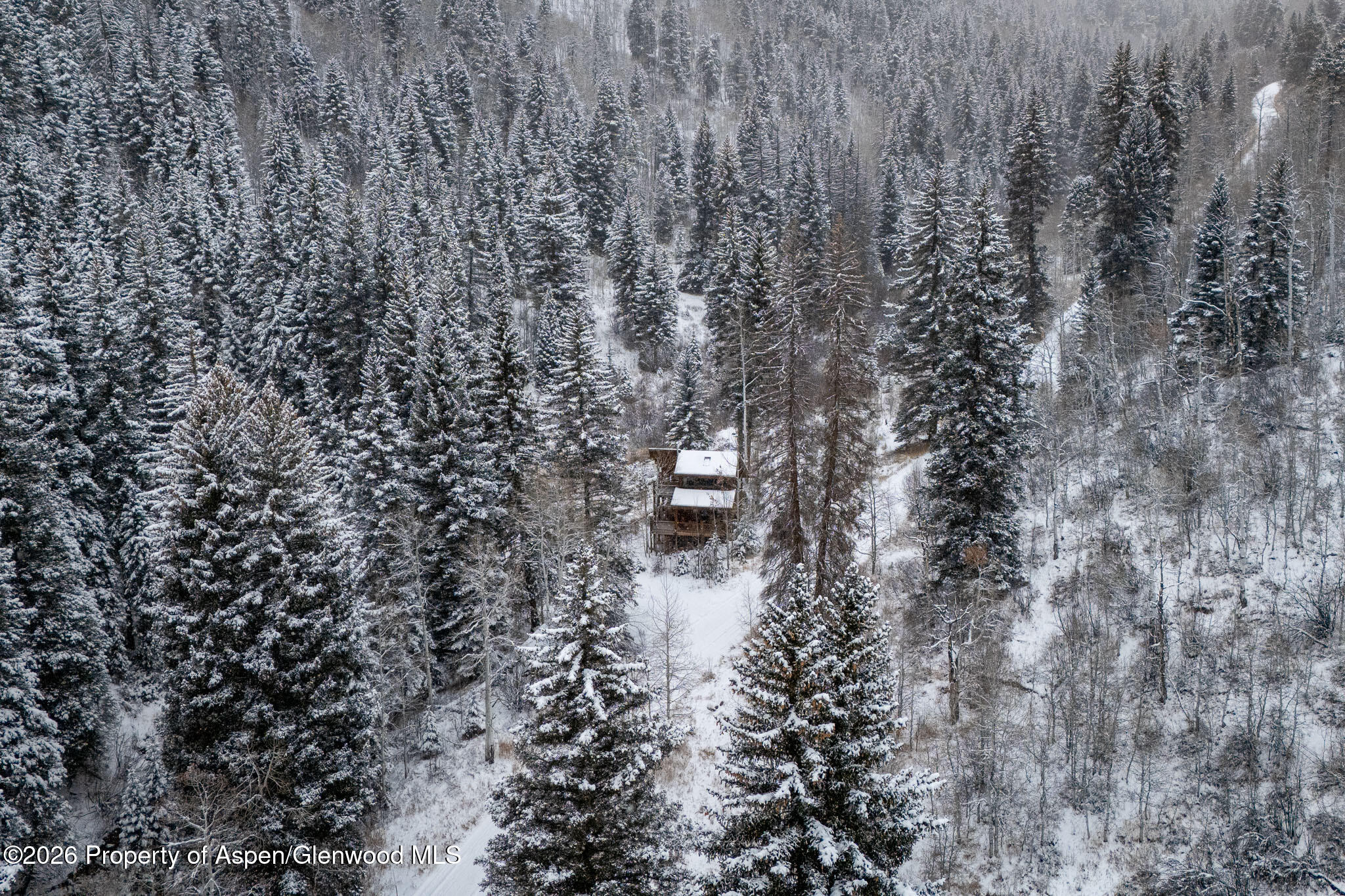 290 Ruedi Creek Road Basalt CO 81621