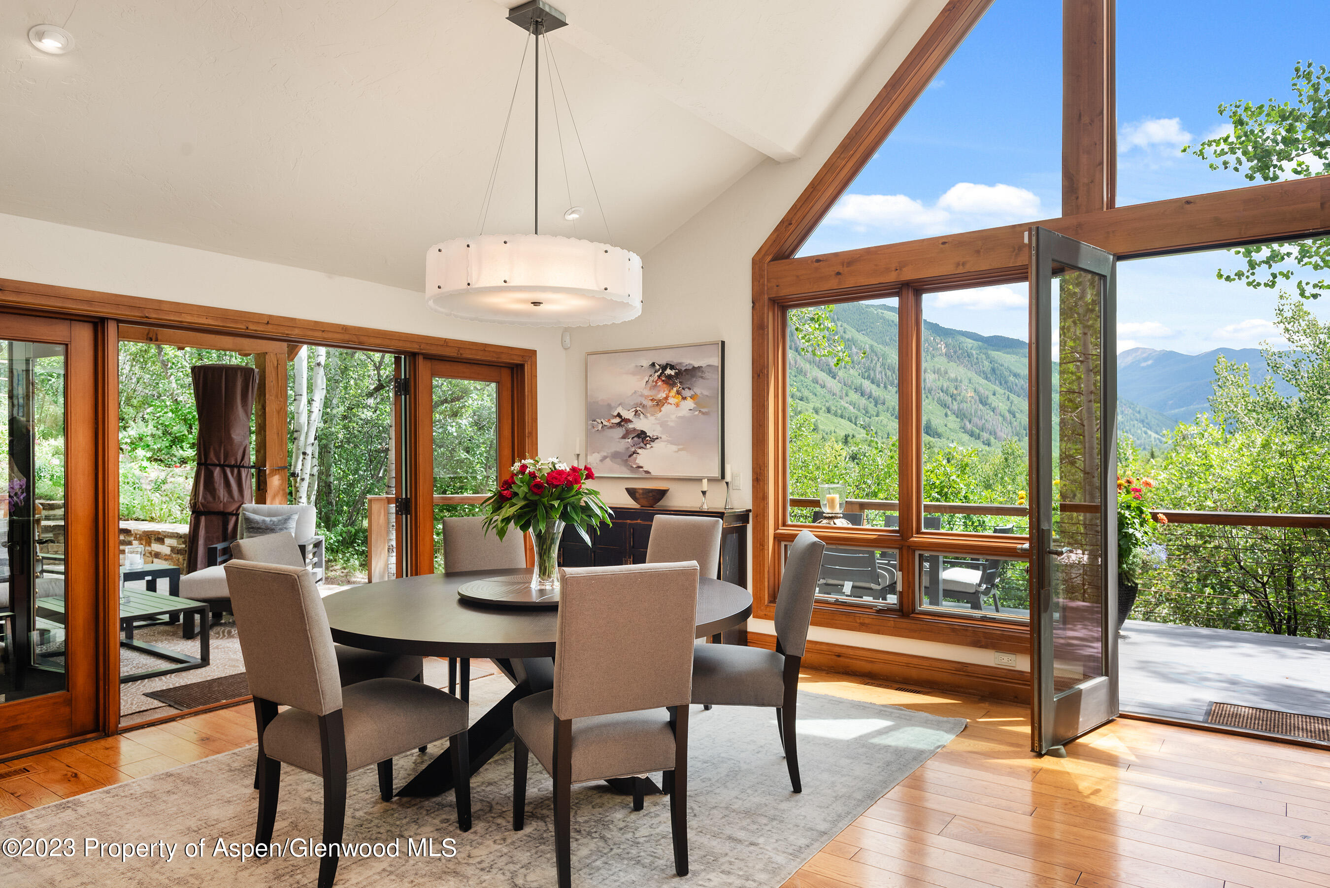 222 Roaring Fork Drive Aspen CO 81611
