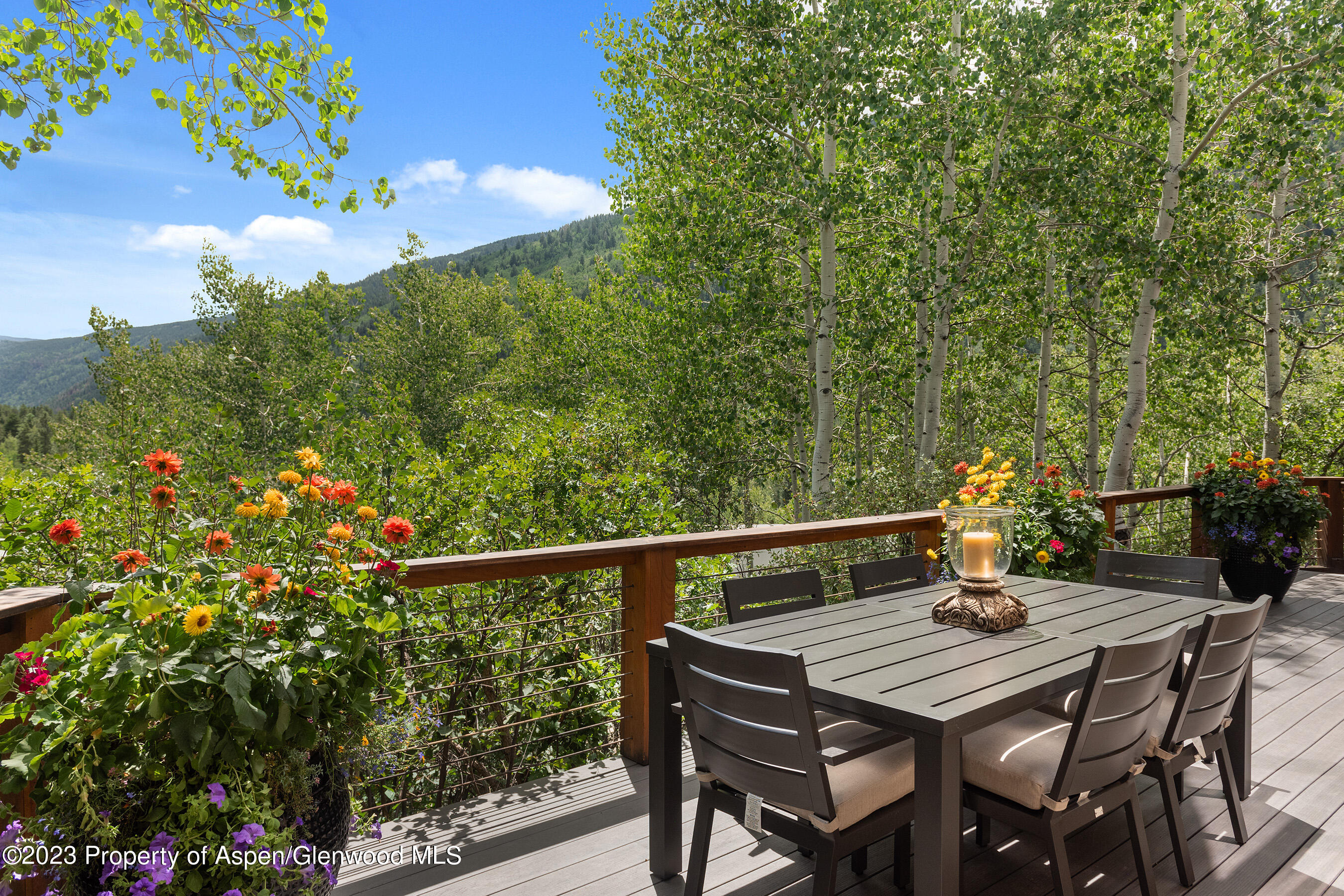 222 Roaring Fork Drive Aspen CO 81611