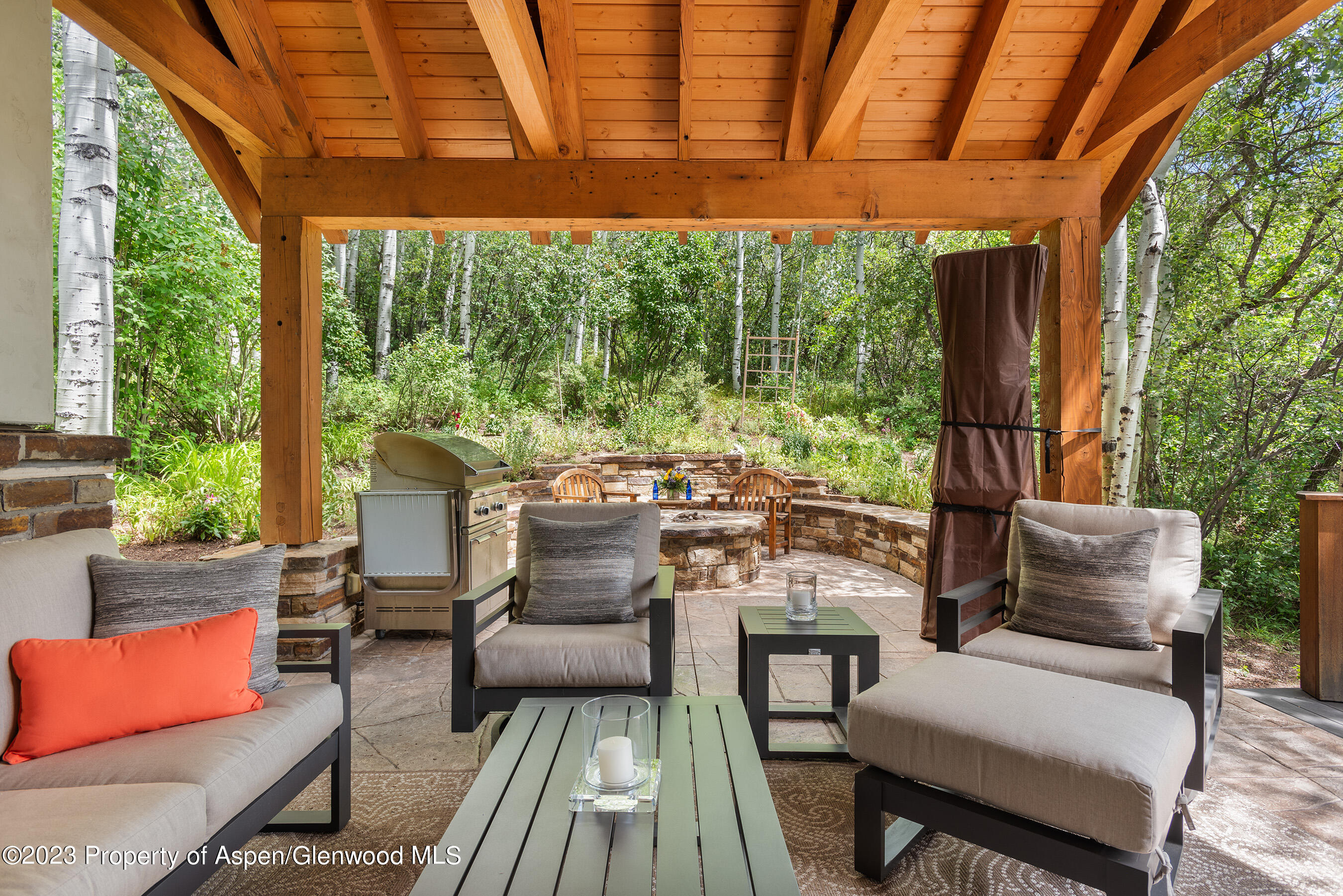 222 Roaring Fork Drive Aspen CO 81611