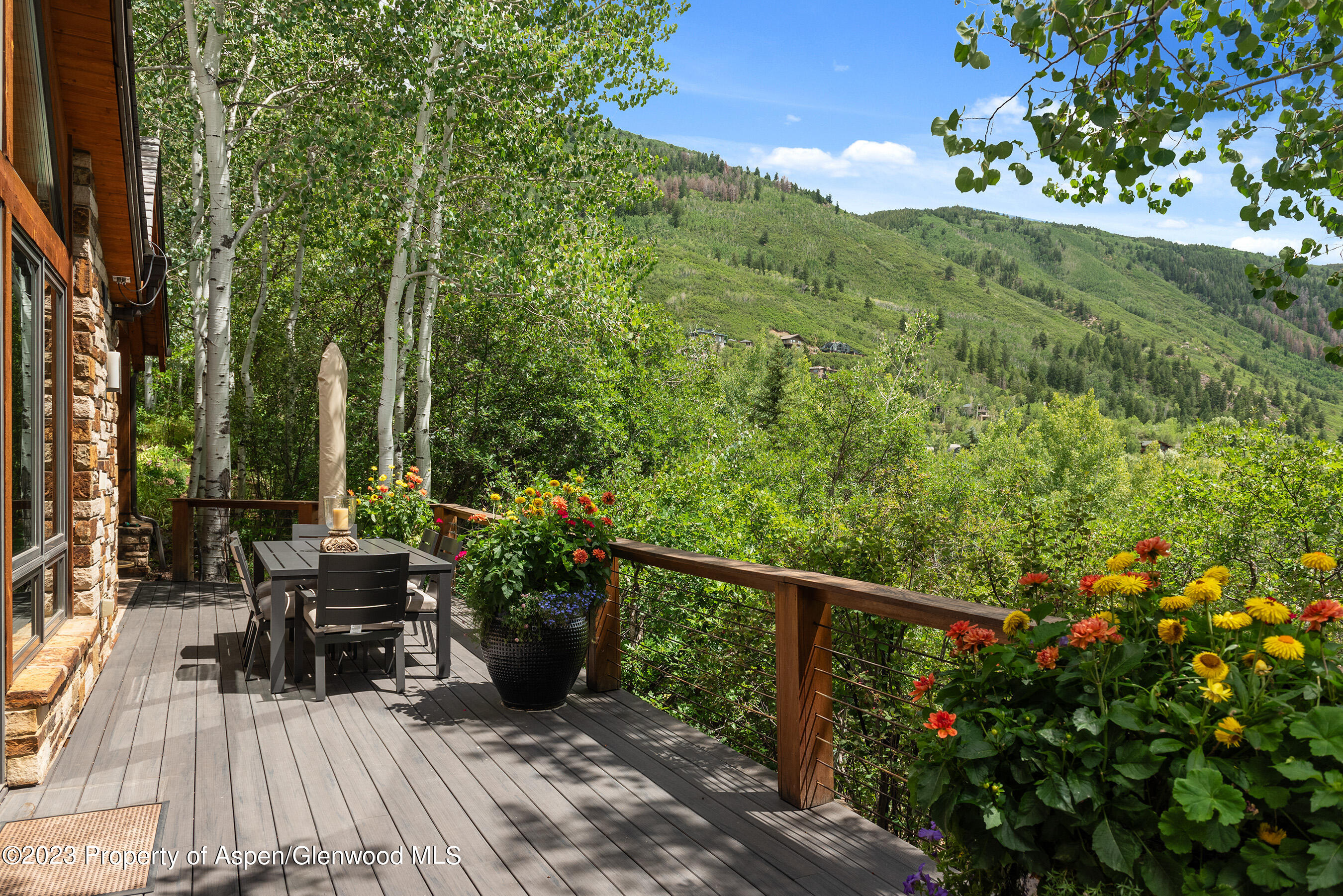 222 Roaring Fork Drive Aspen CO 81611