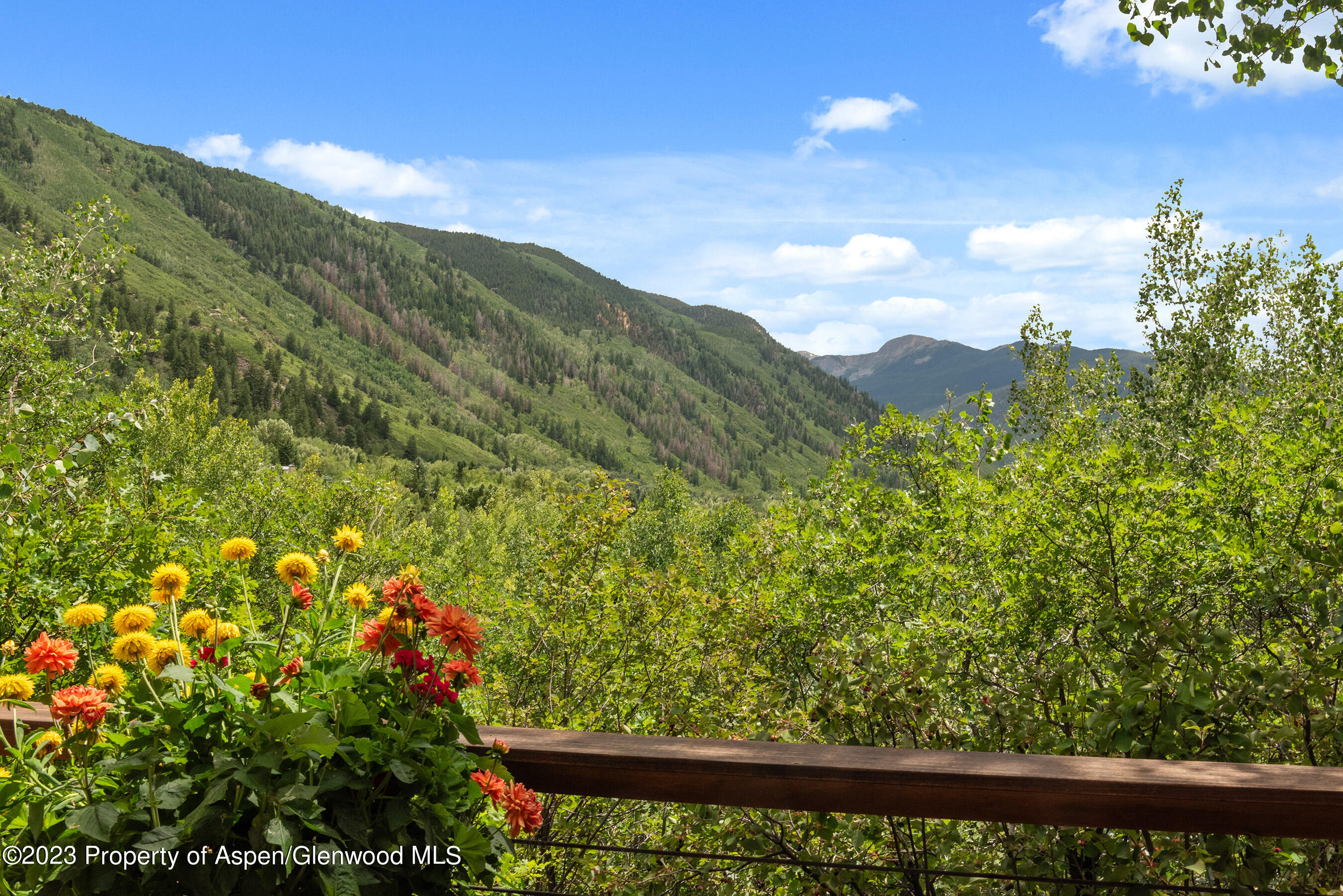 222 Roaring Fork Drive Aspen CO 81611