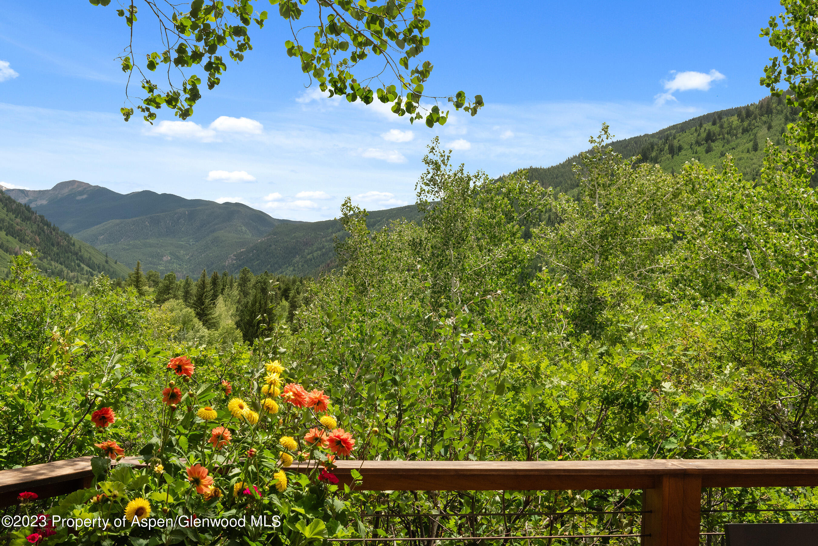 222 Roaring Fork Drive Aspen CO 81611