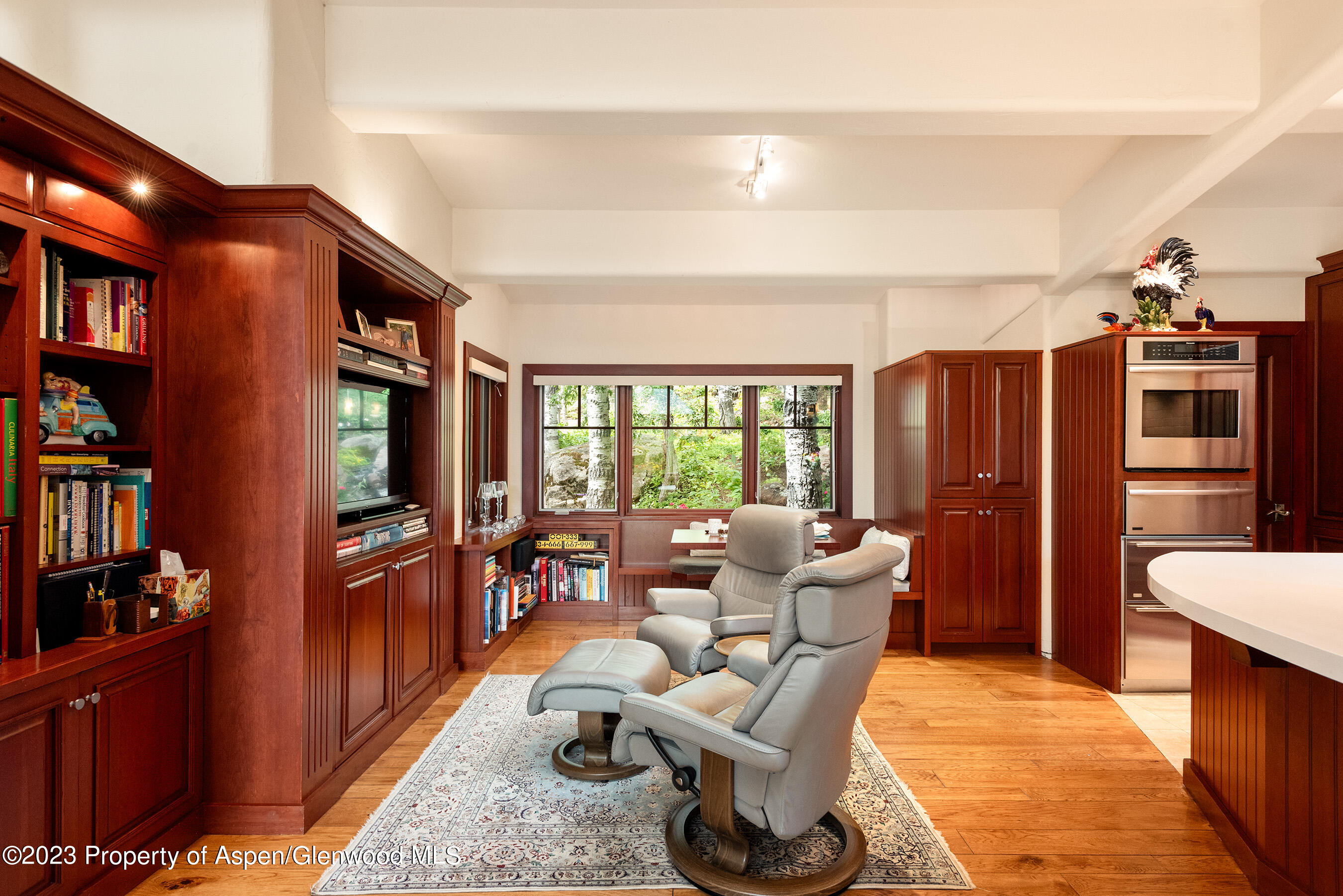 222 Roaring Fork Drive Aspen CO 81611